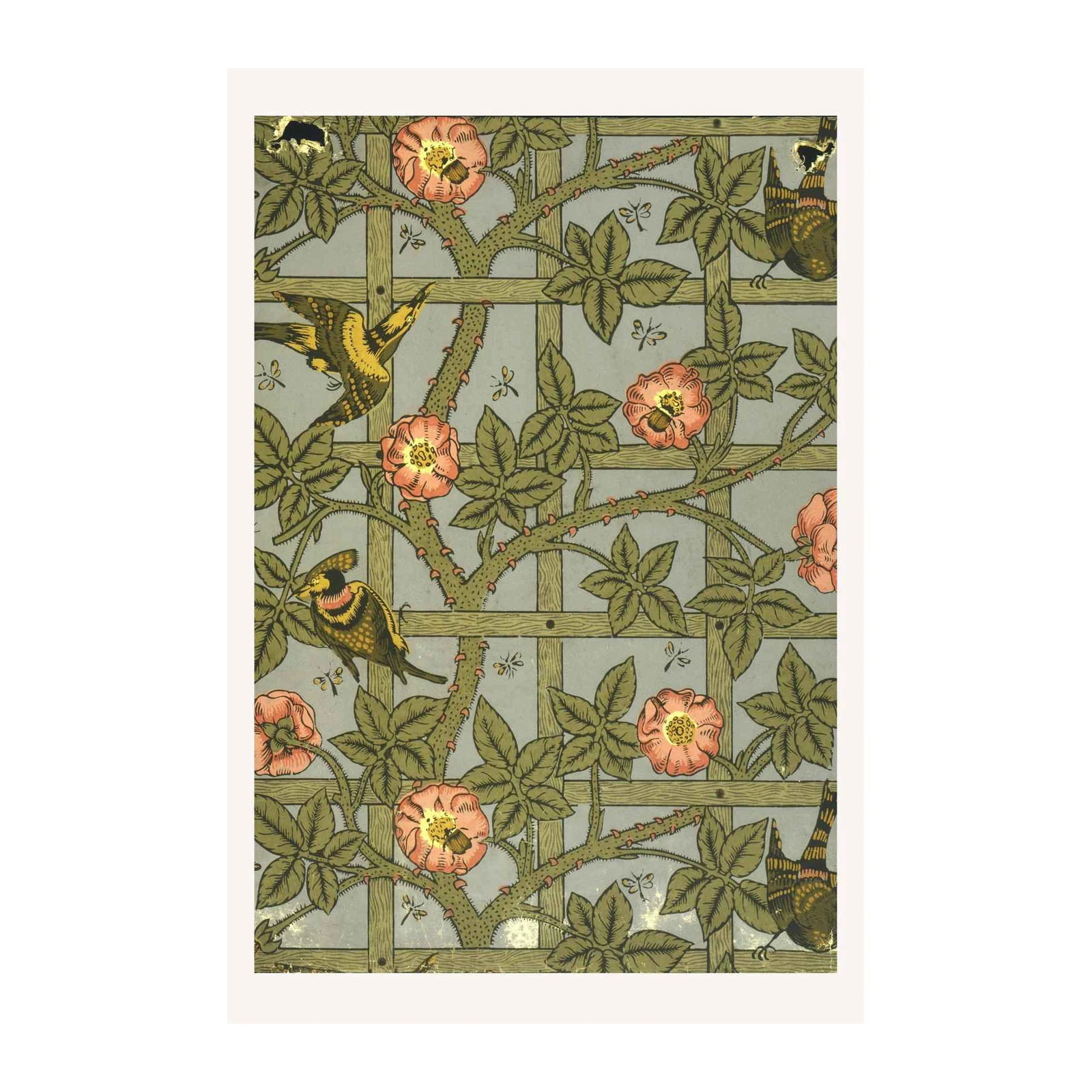 William Morris Bird & Rose Trellis Wall Art