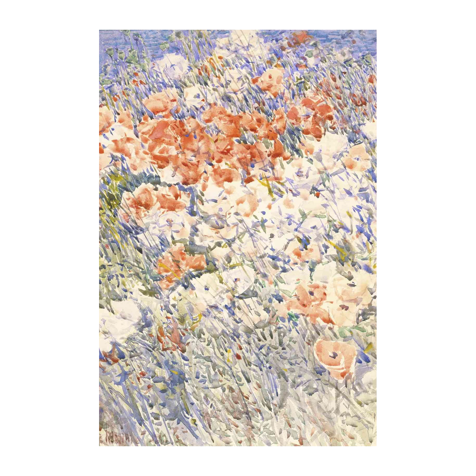 Vibrant Poppy Field Watercolor Wall Art