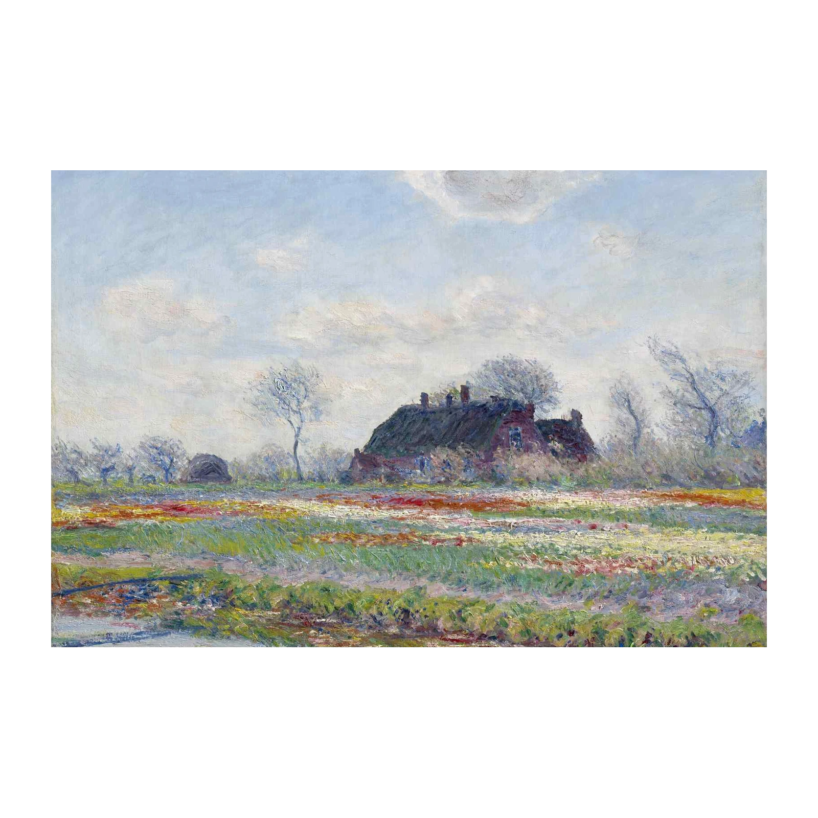 Impressionist Tulip Field Farmhouse Wall Art