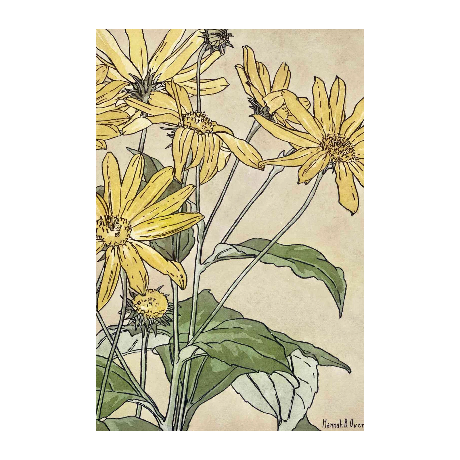 Vintage Yellow Floral "Summer Bloom" Wall Art