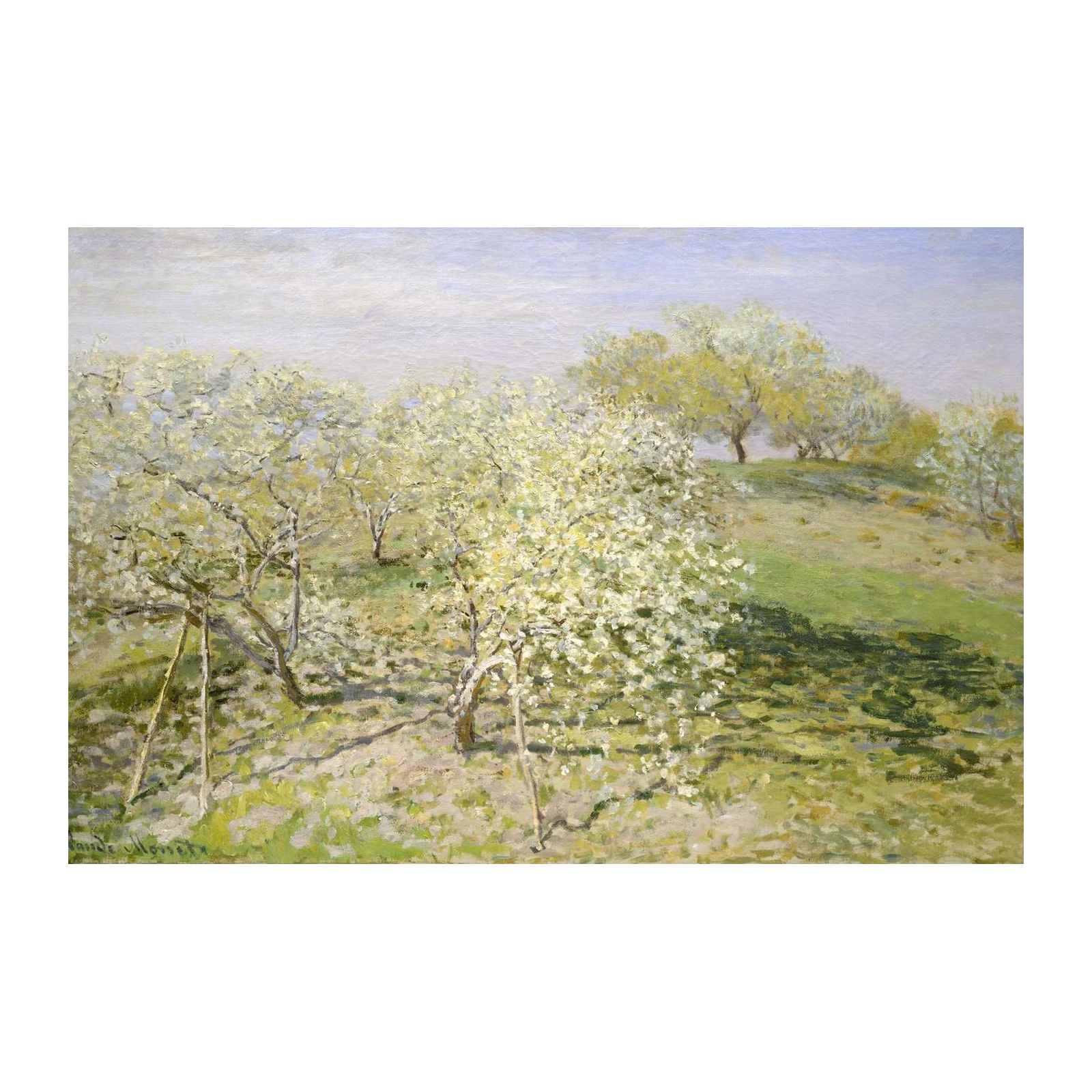 Blooming Orchard Landscape Wall Art