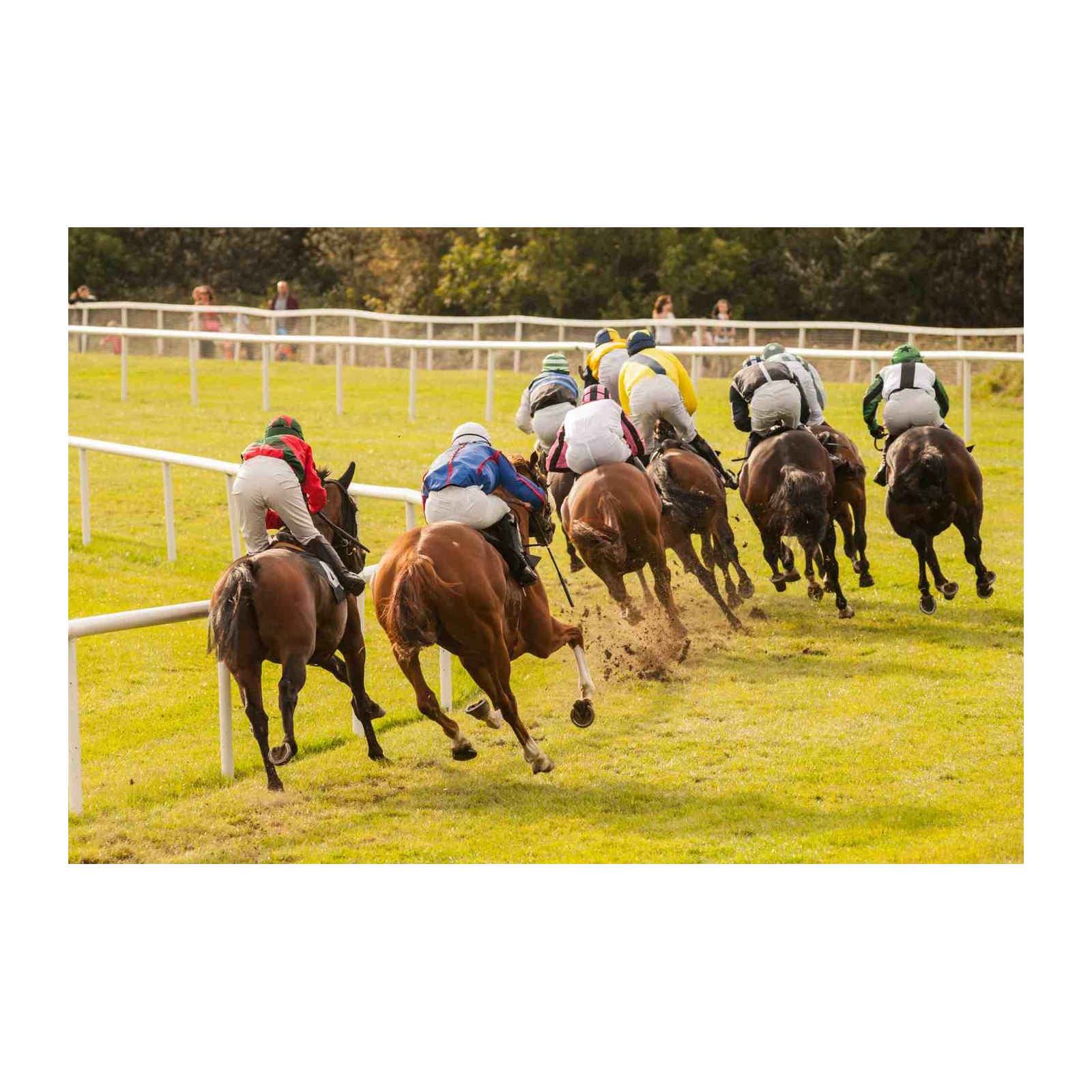 Thrilling Horse Race Action Wall Art