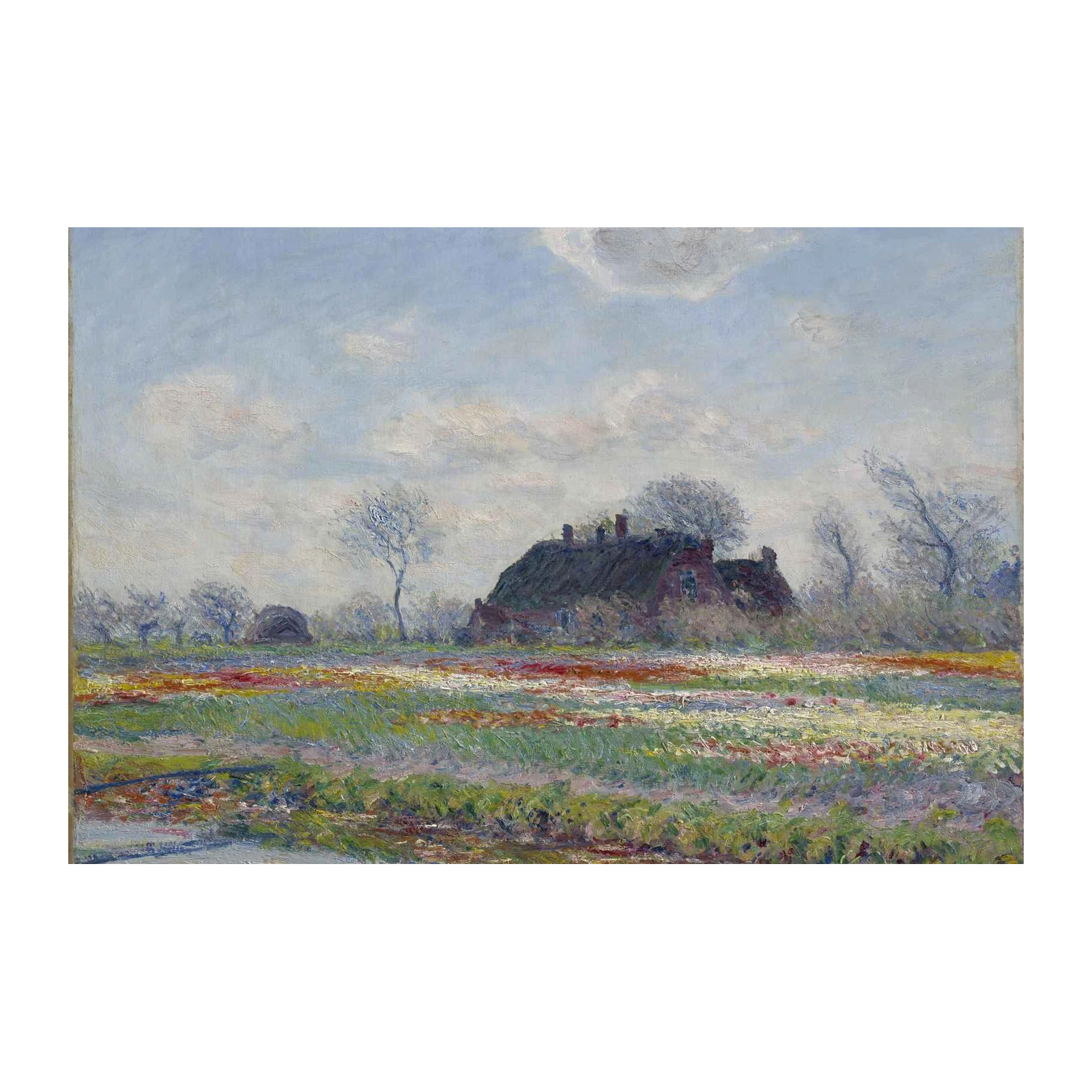 Impressionist Tulip Field Cottage Wall Art