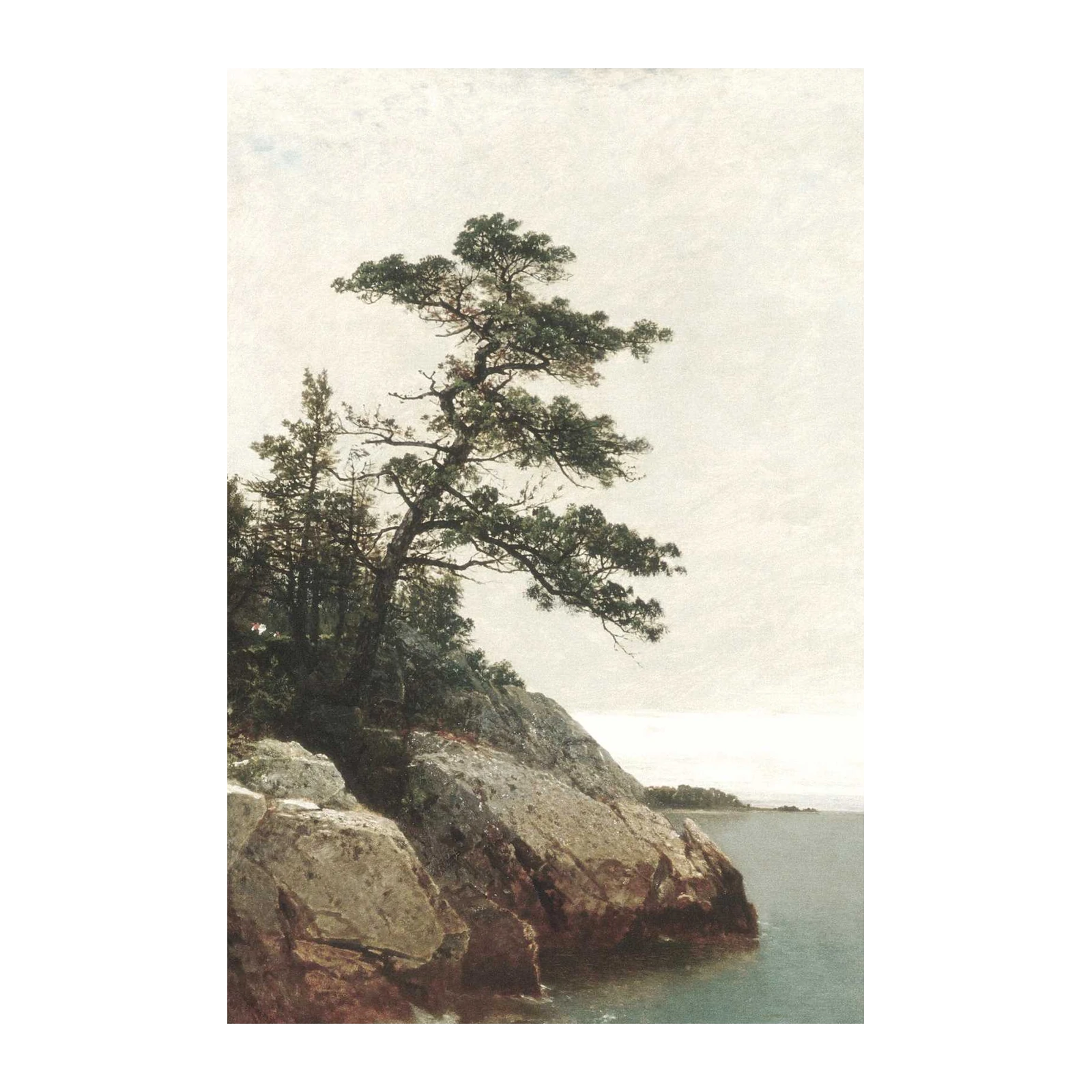 Serene Coastal Pine Wall Art Art