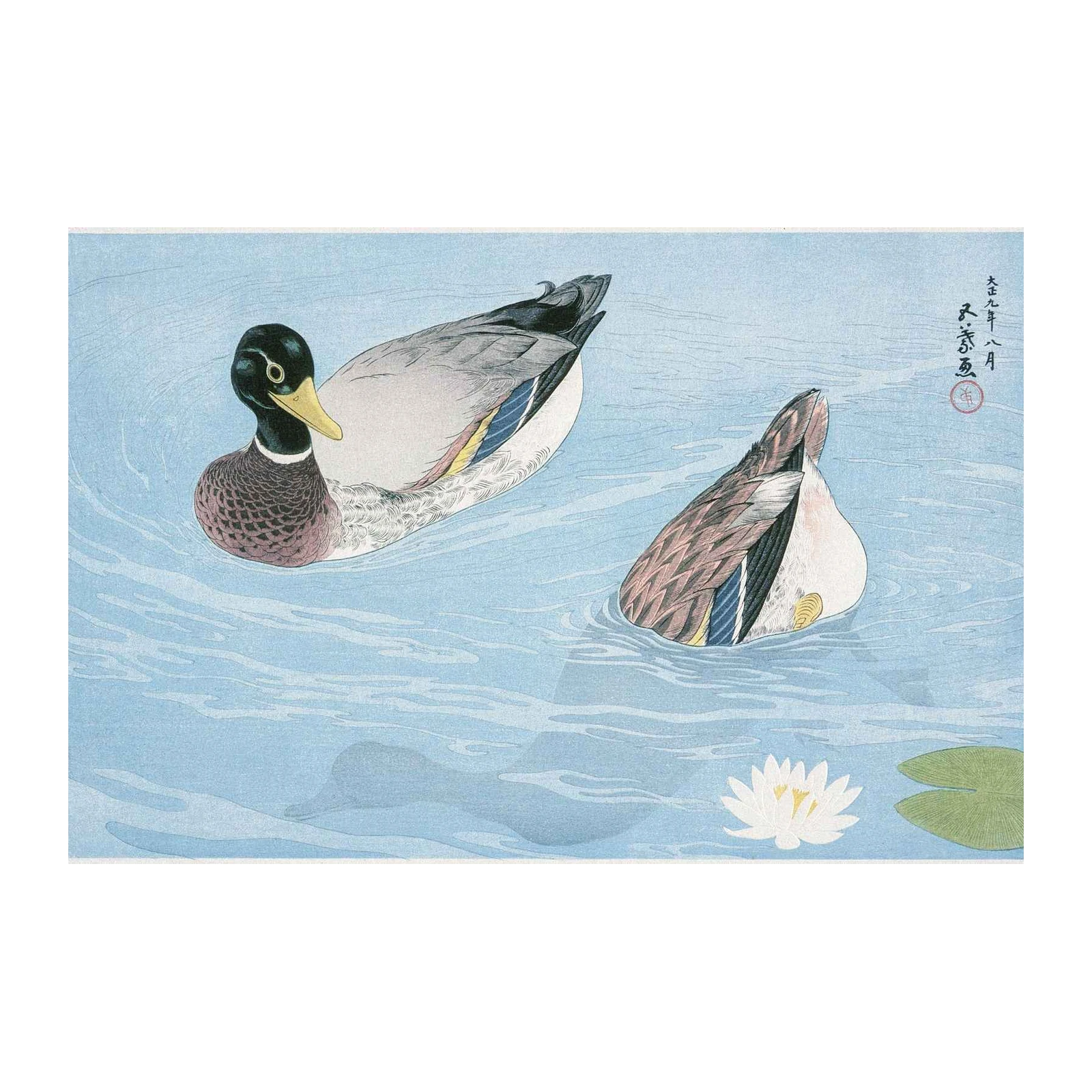 Tranquil Mallard Ducks Serene Pond Wall Art