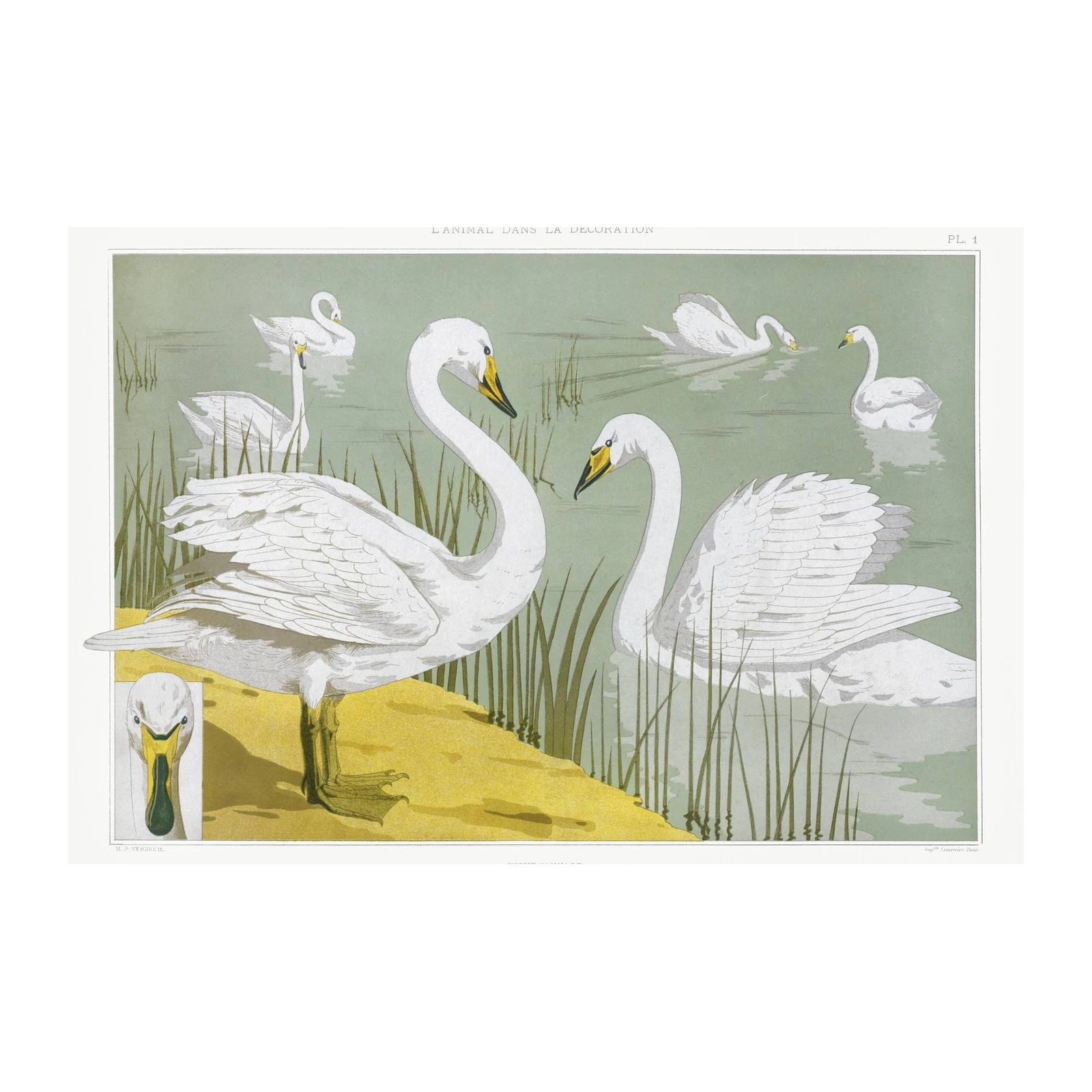 Elegant Swans Serene Lake Wall Art