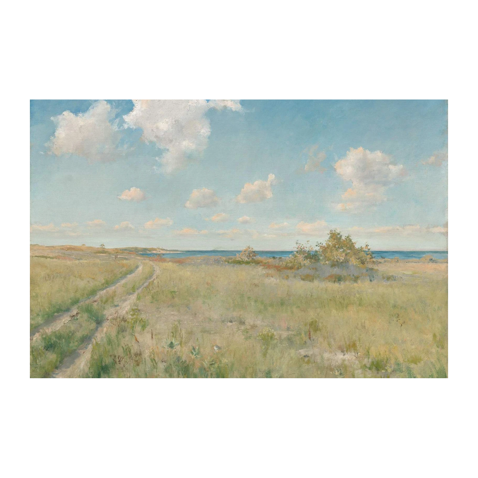 Serene Coastal Landscape Path Wall Art