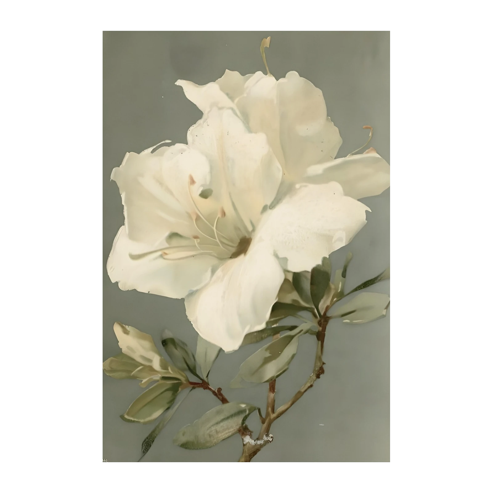 Elegant White Azalea Floral Wall Art