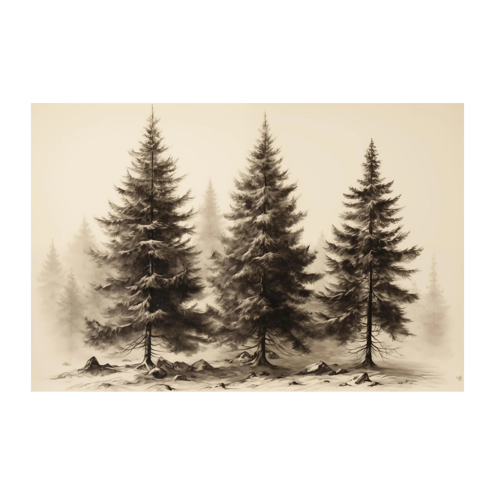 Misty Evergreen Forest Wall Art Wall Art