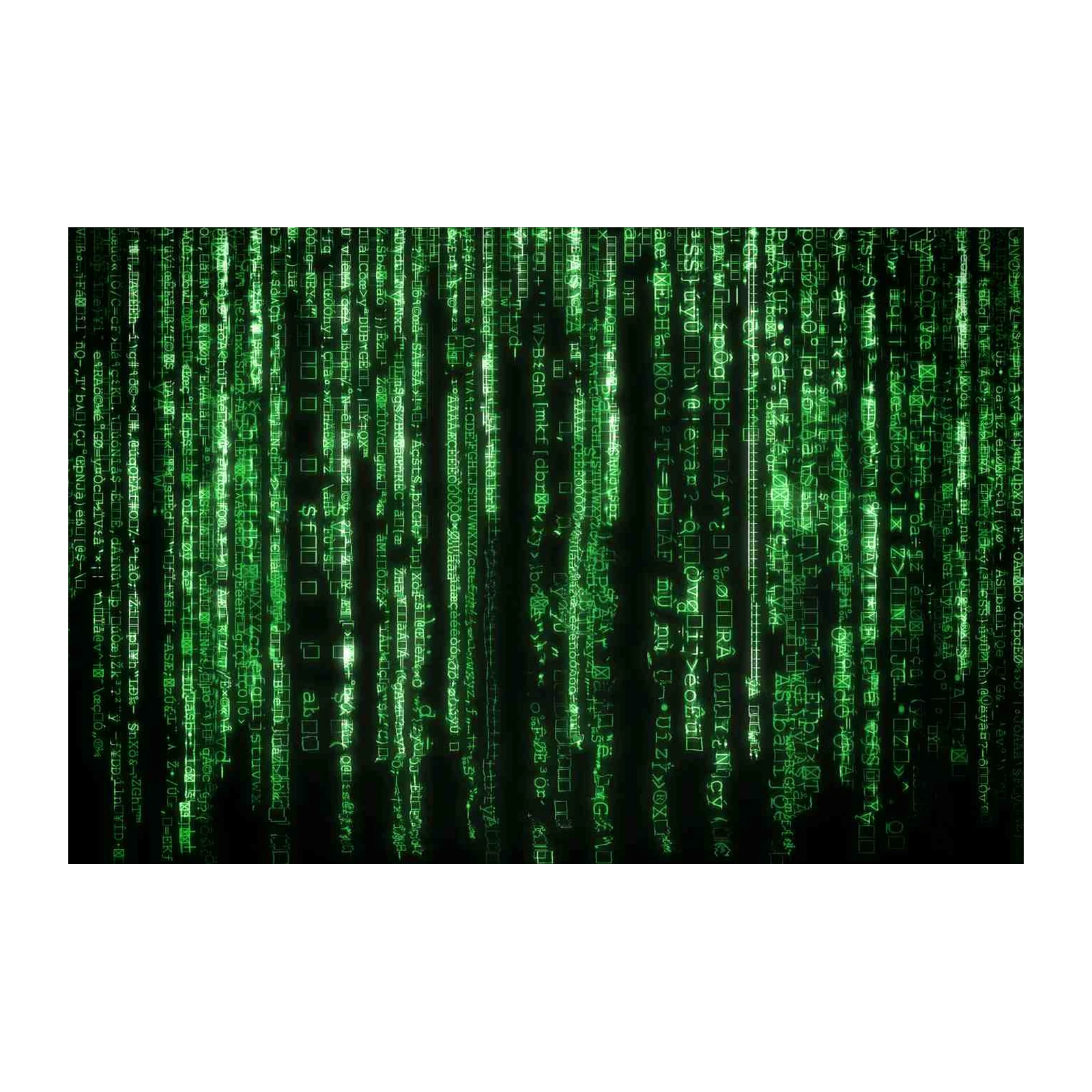 Digital Rain Matrix Code Wall Art