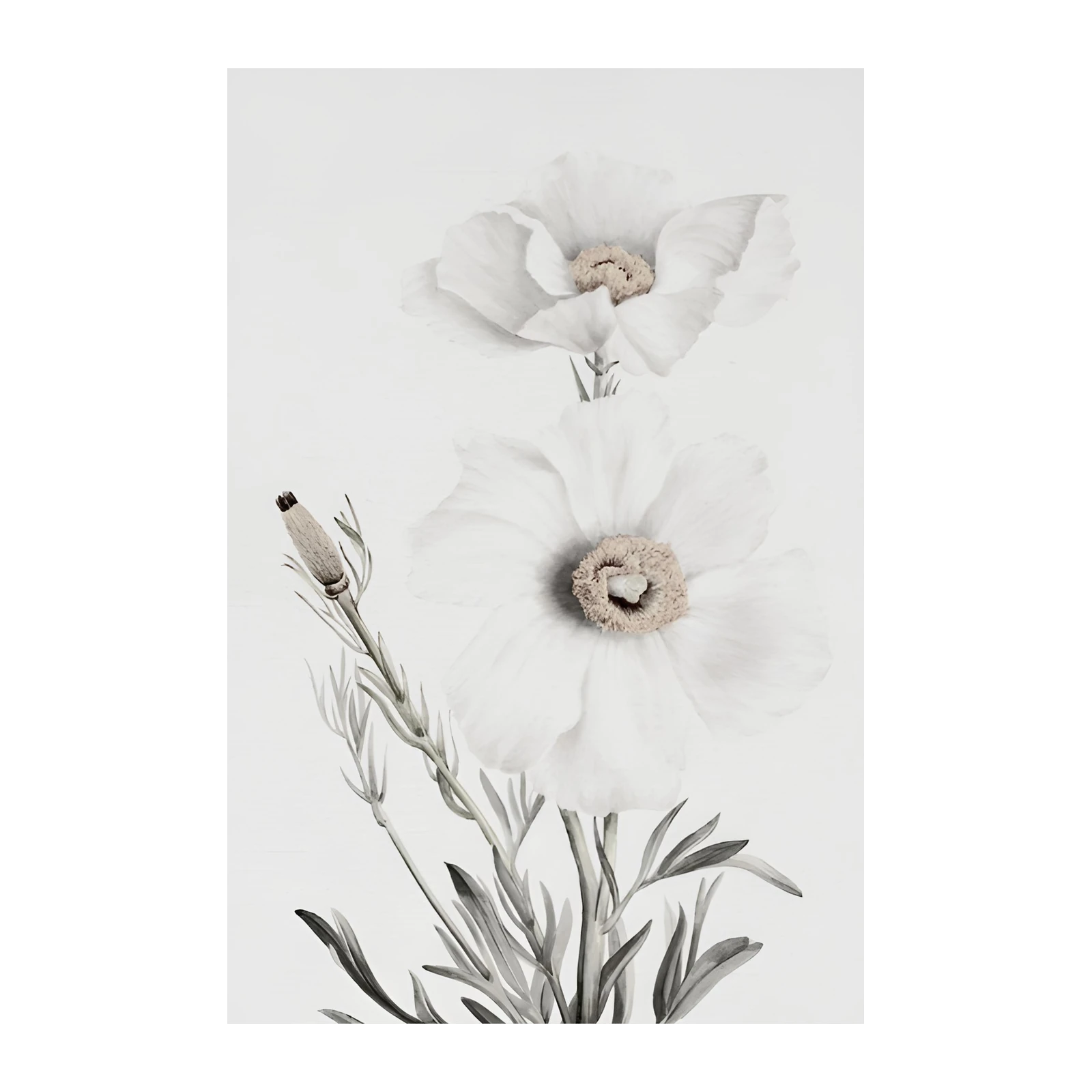 Elegant White Poppy Botanical Wall Art