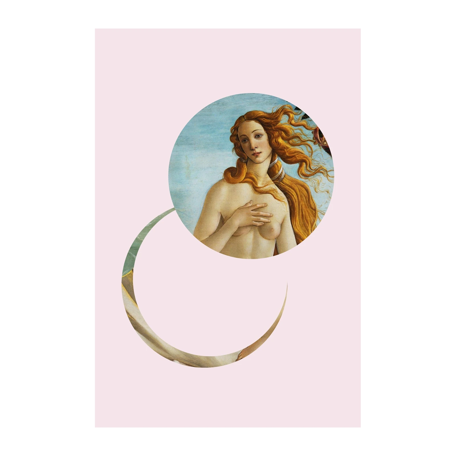 Botticelli's Venus Renaissance Art Wall Art