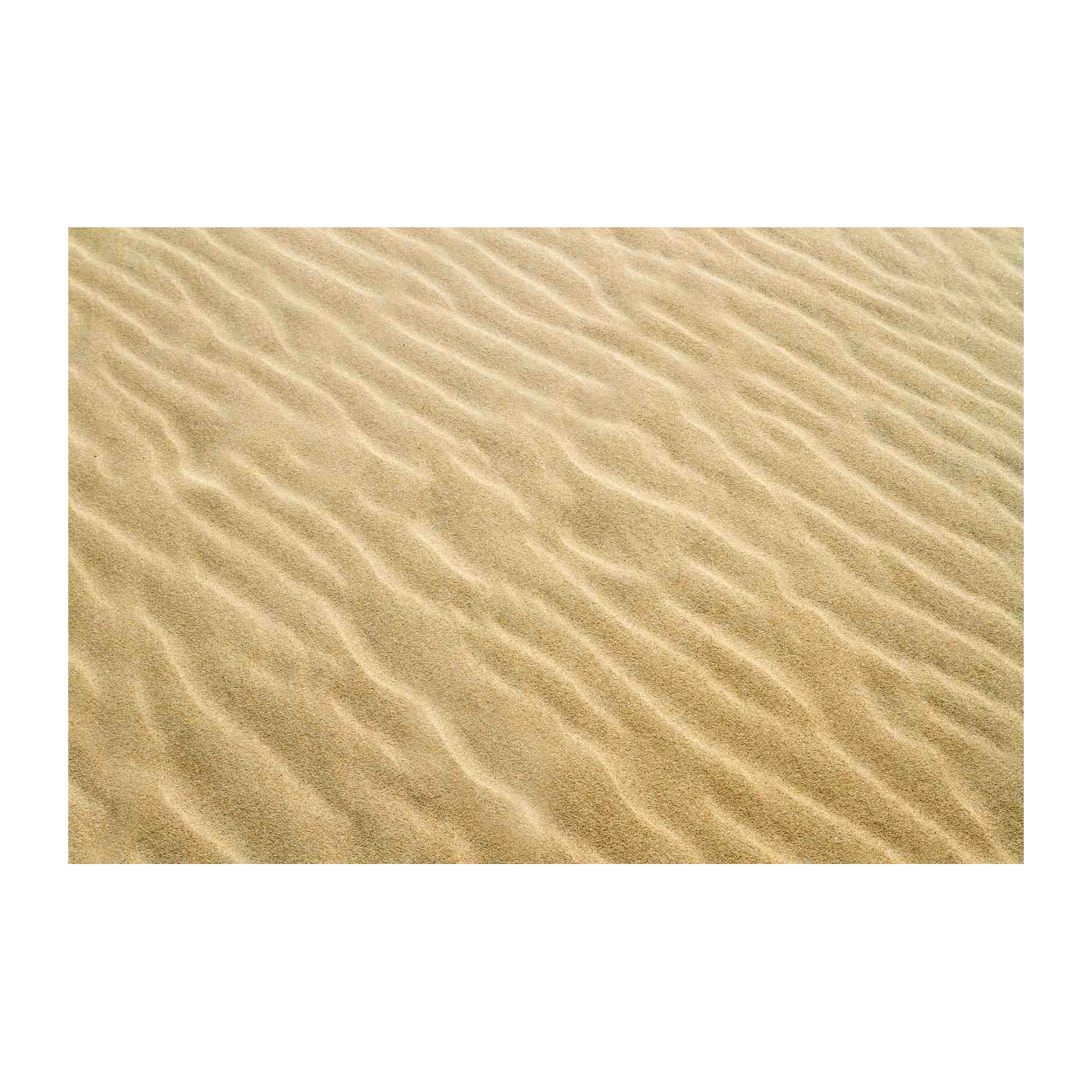 Abstract Sand Dunes Texture Wall Art
