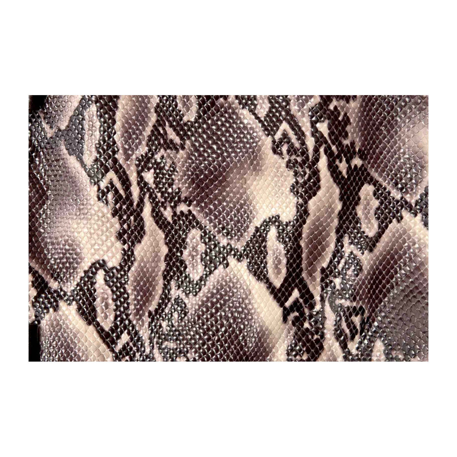 Exotic Snake Print Wall Art Wall Art