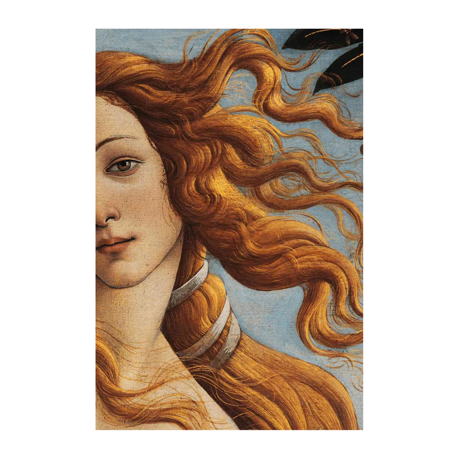 Botticelli Venus Portrait Golden Hair Wall Art