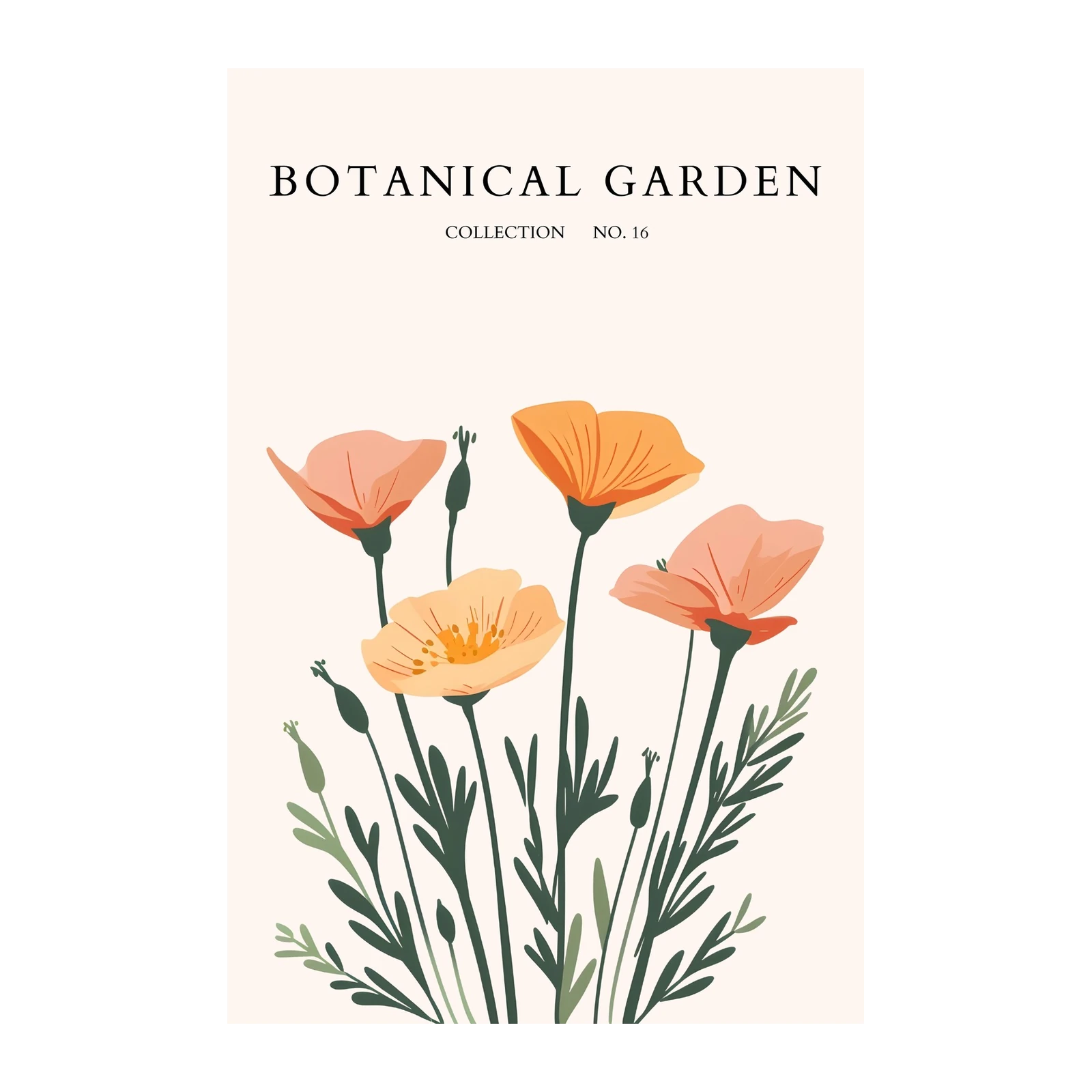 Botanical Poppies Wall Art