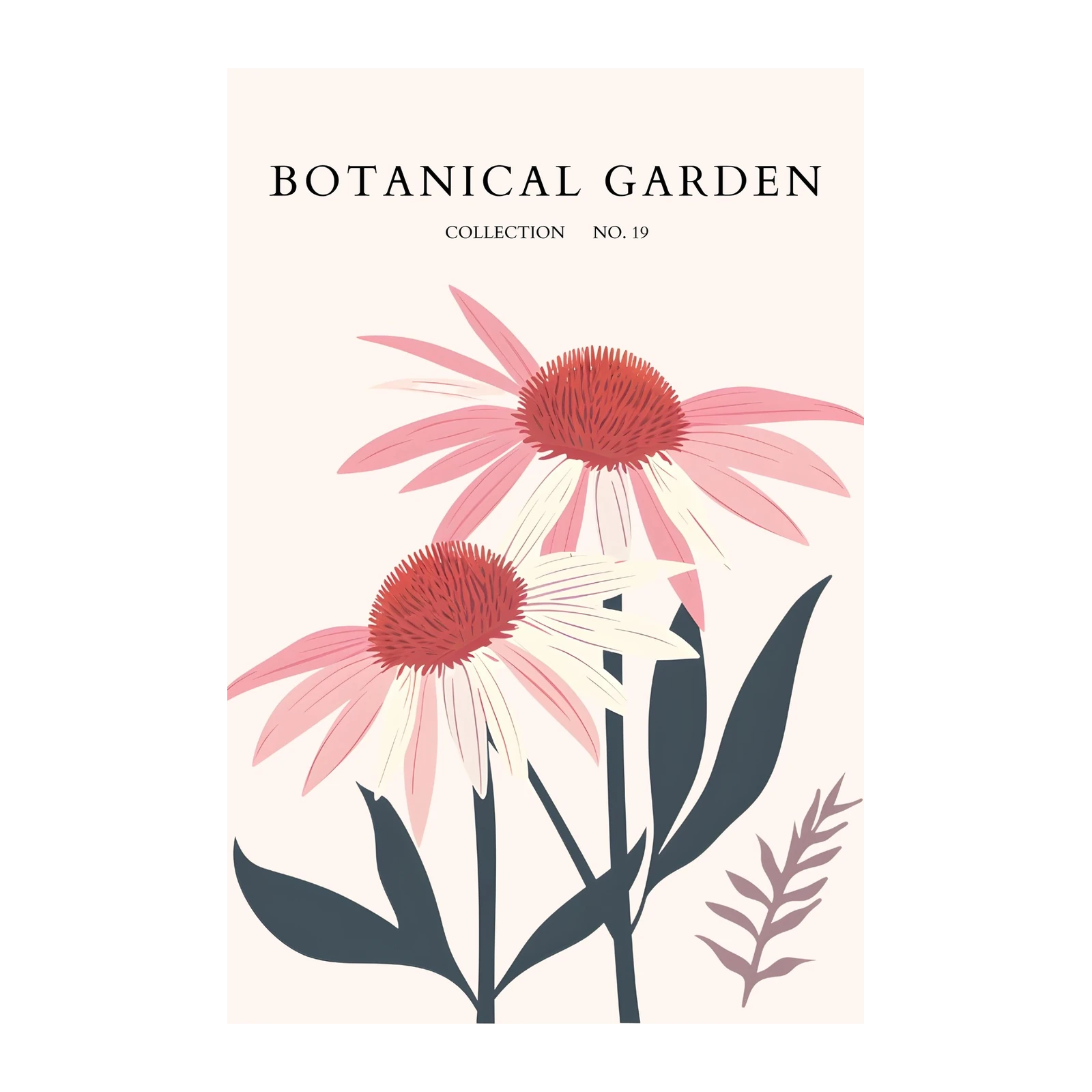 Modern Pink Echinacea Botanical Wall Art