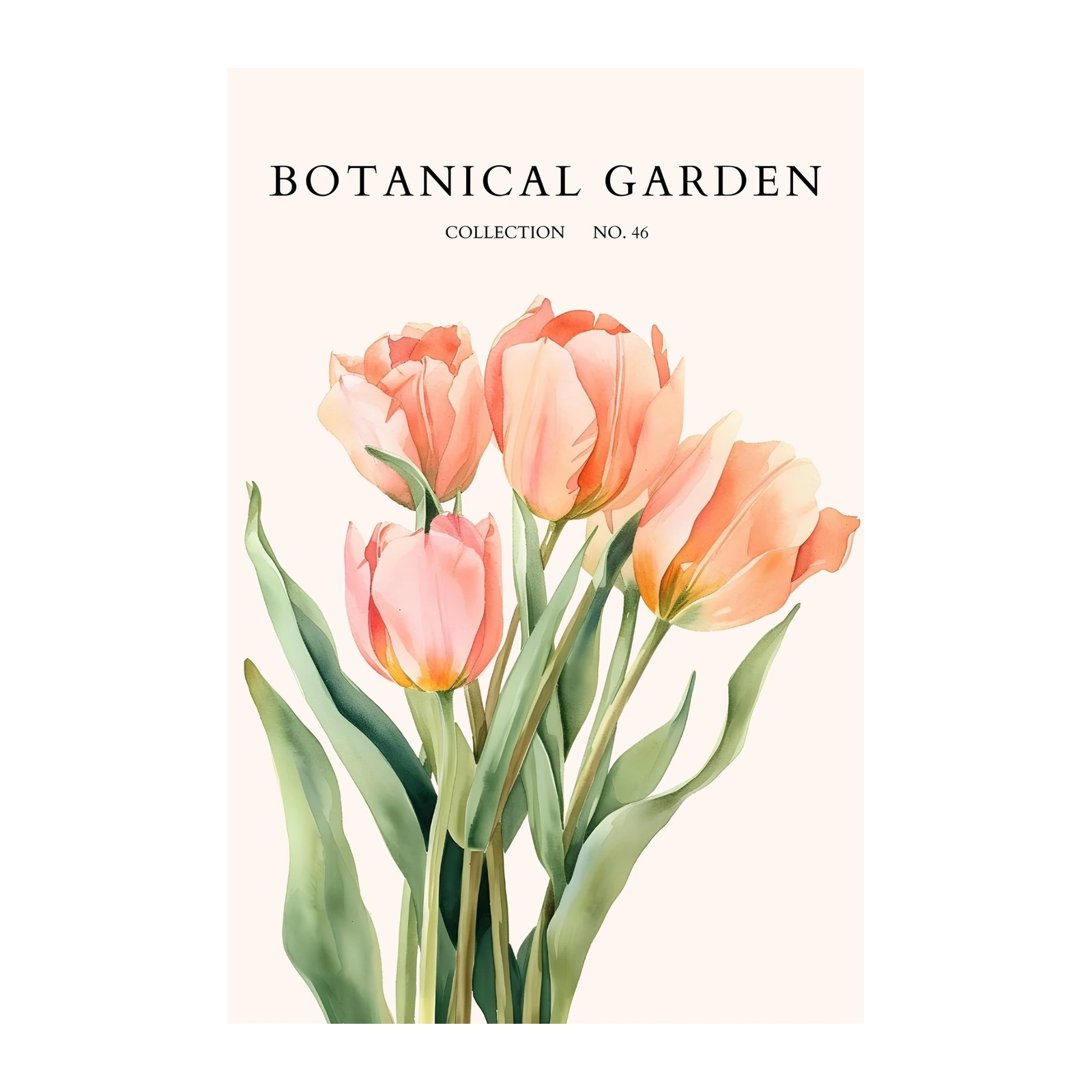 Peach Tulip Botanical Garden Wall Art