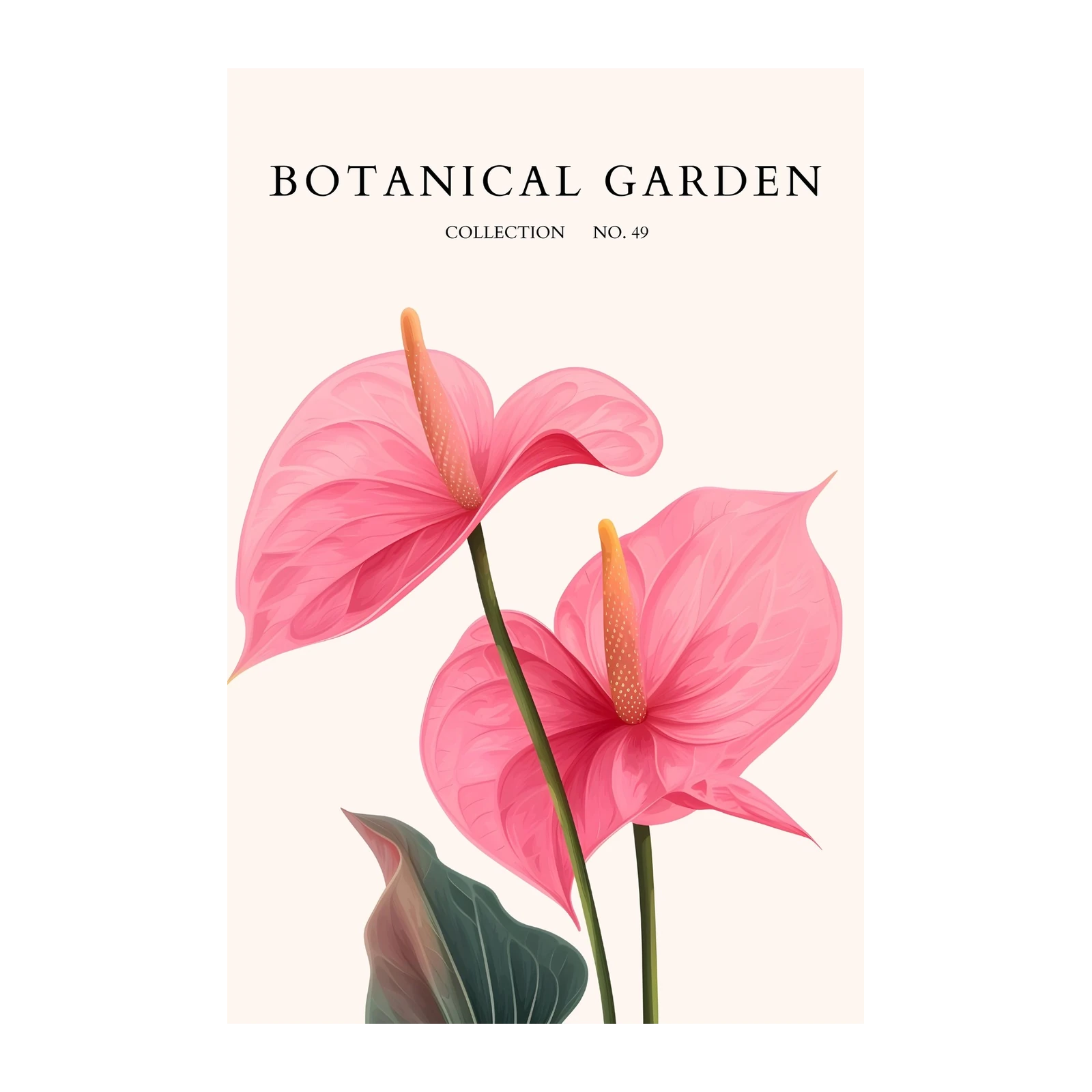 Elegant Pink Anthurium Botanical Garden Wall Art