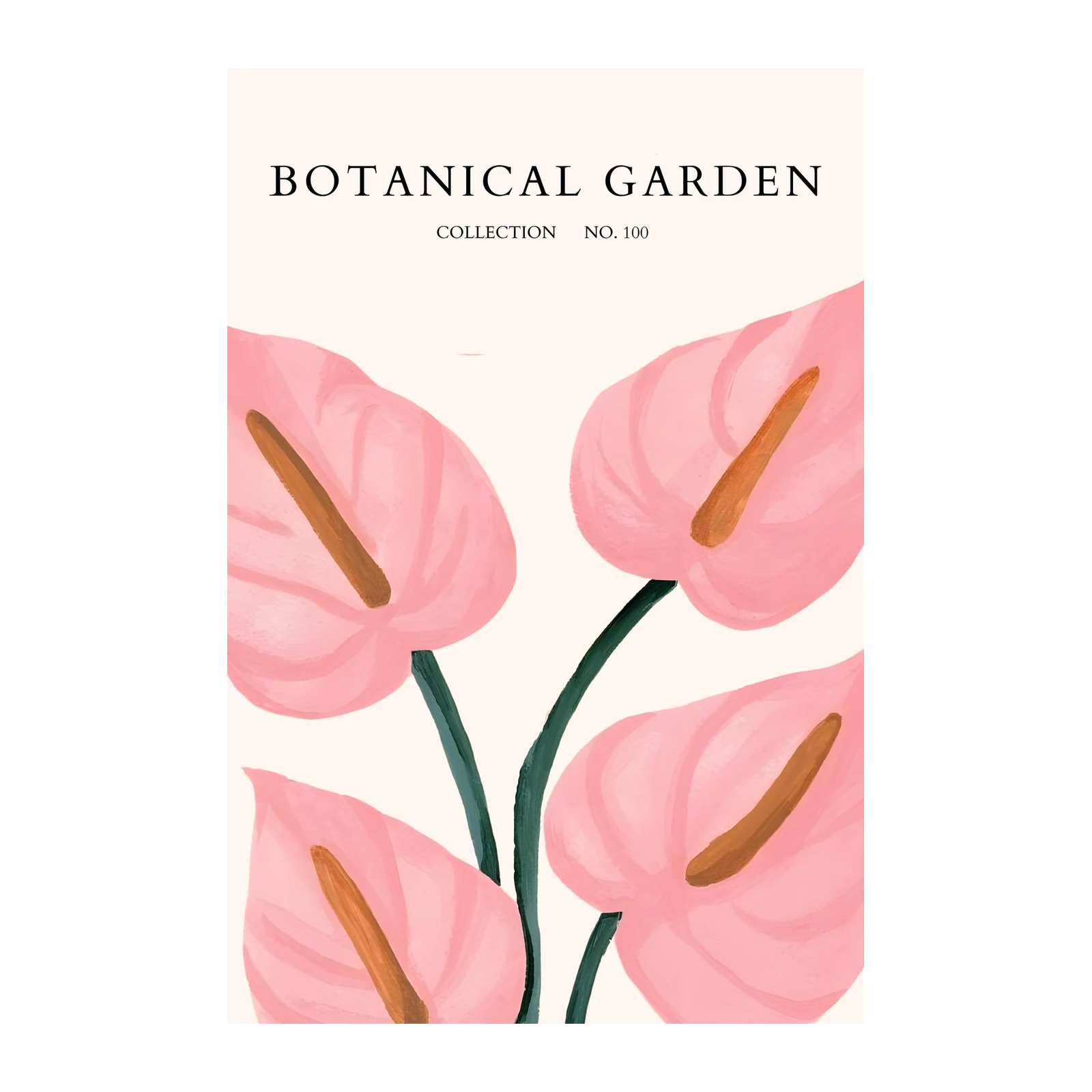 Pink Anthurium Botanical Art Wall Art