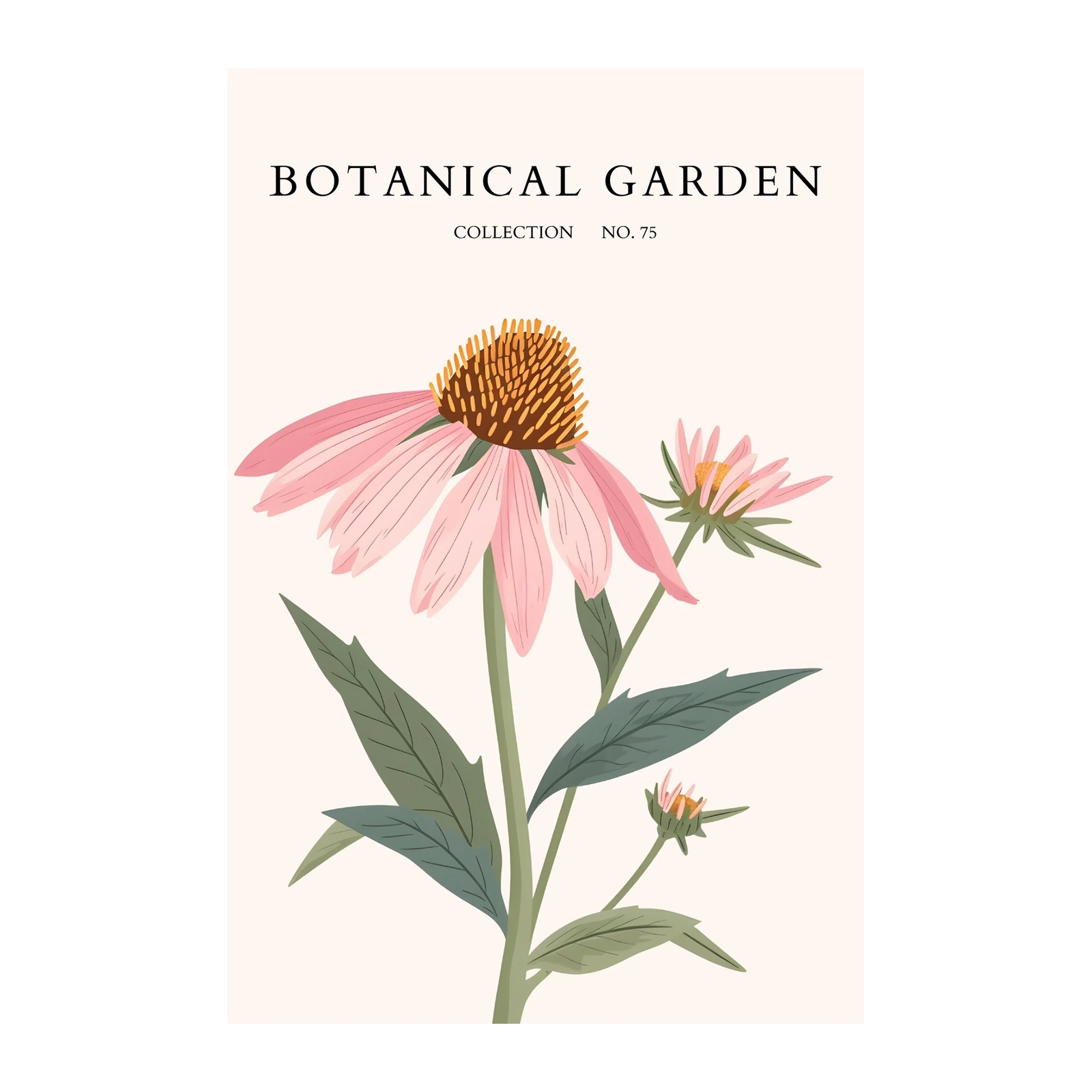 Botanical Garden Pink Echinacea Wall Art