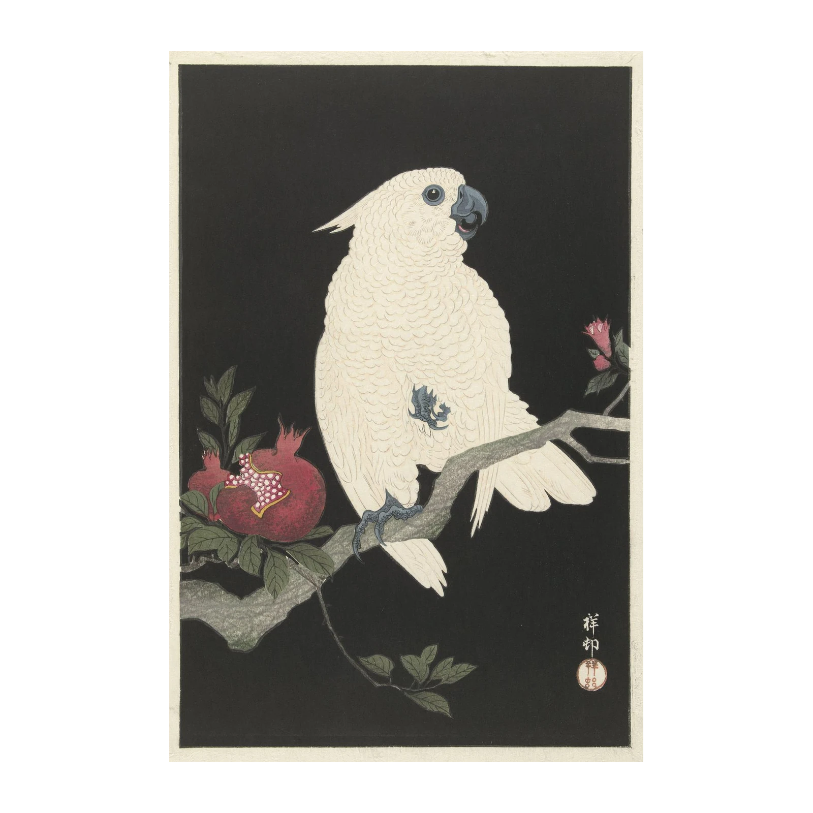 Elegant White Cockatoo & Pomegranate Wall Art