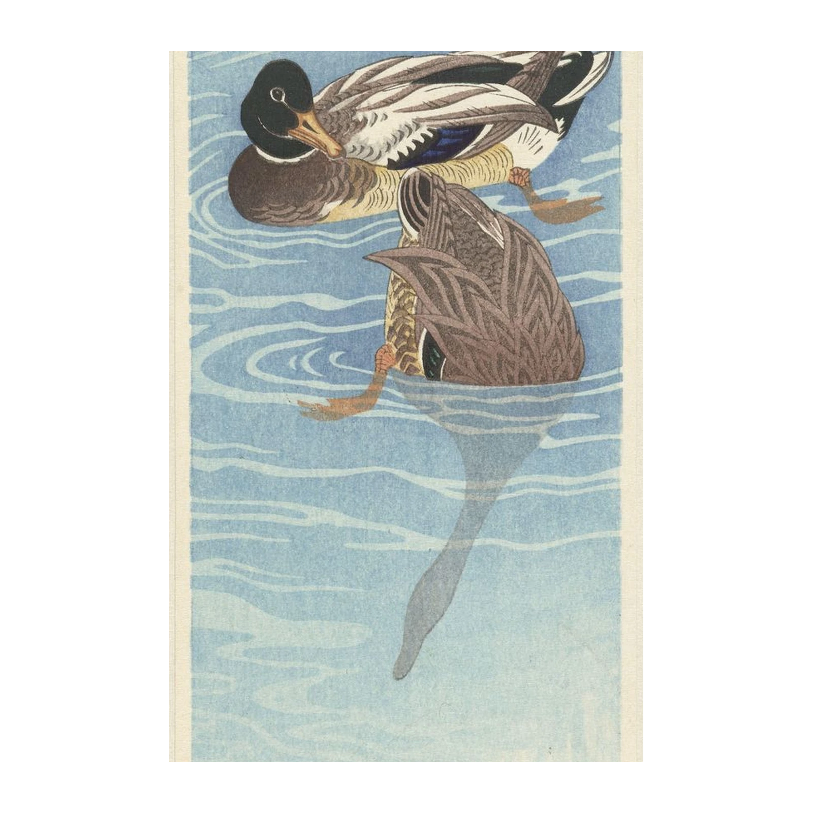 Tranquil Winter Ducks Nature Wall Art