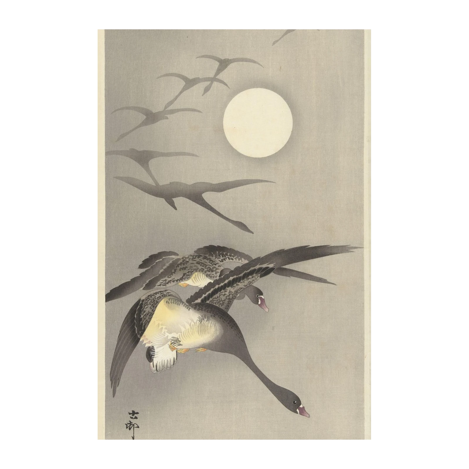 Serene Moonlit Flight Wall Art