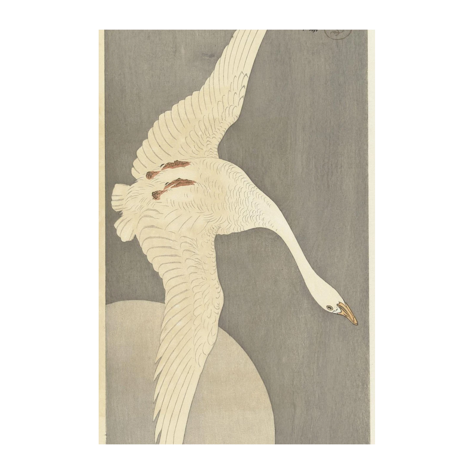 Elegant Swan in Flight Wall Art