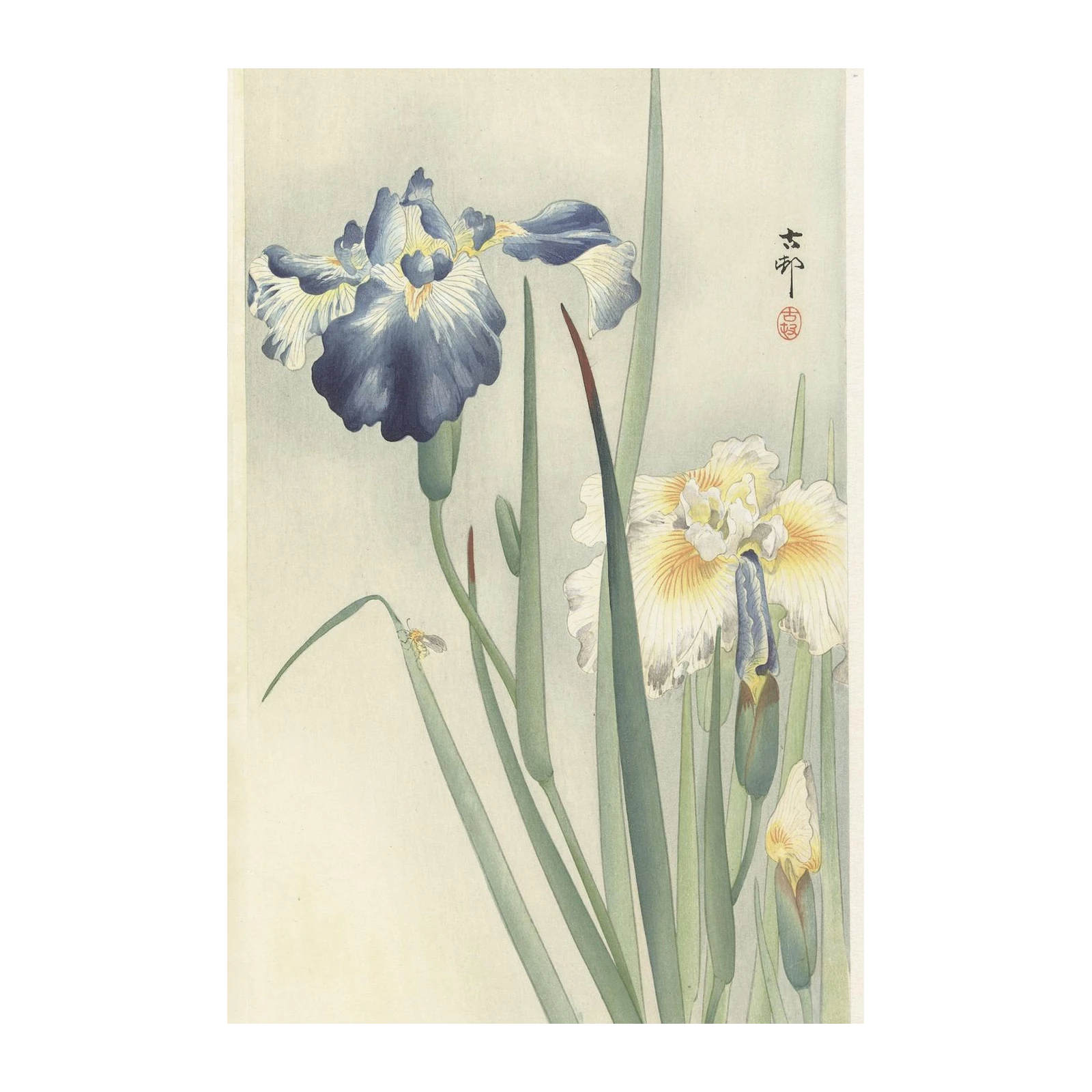 Elegant Iris Bloom Japanese Art Wall Art