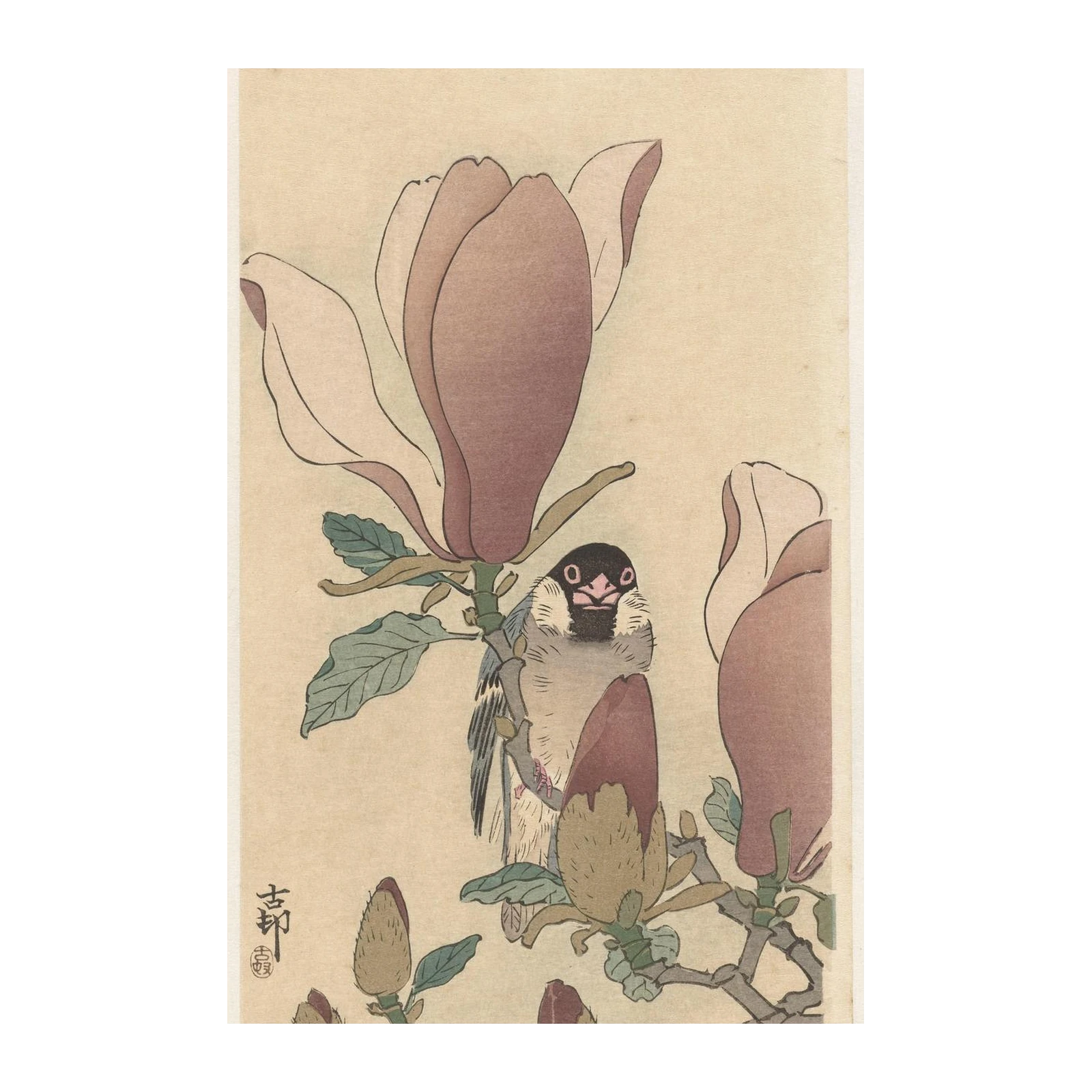 Bird & Magnolia Blossom Japanese Art Wall Art