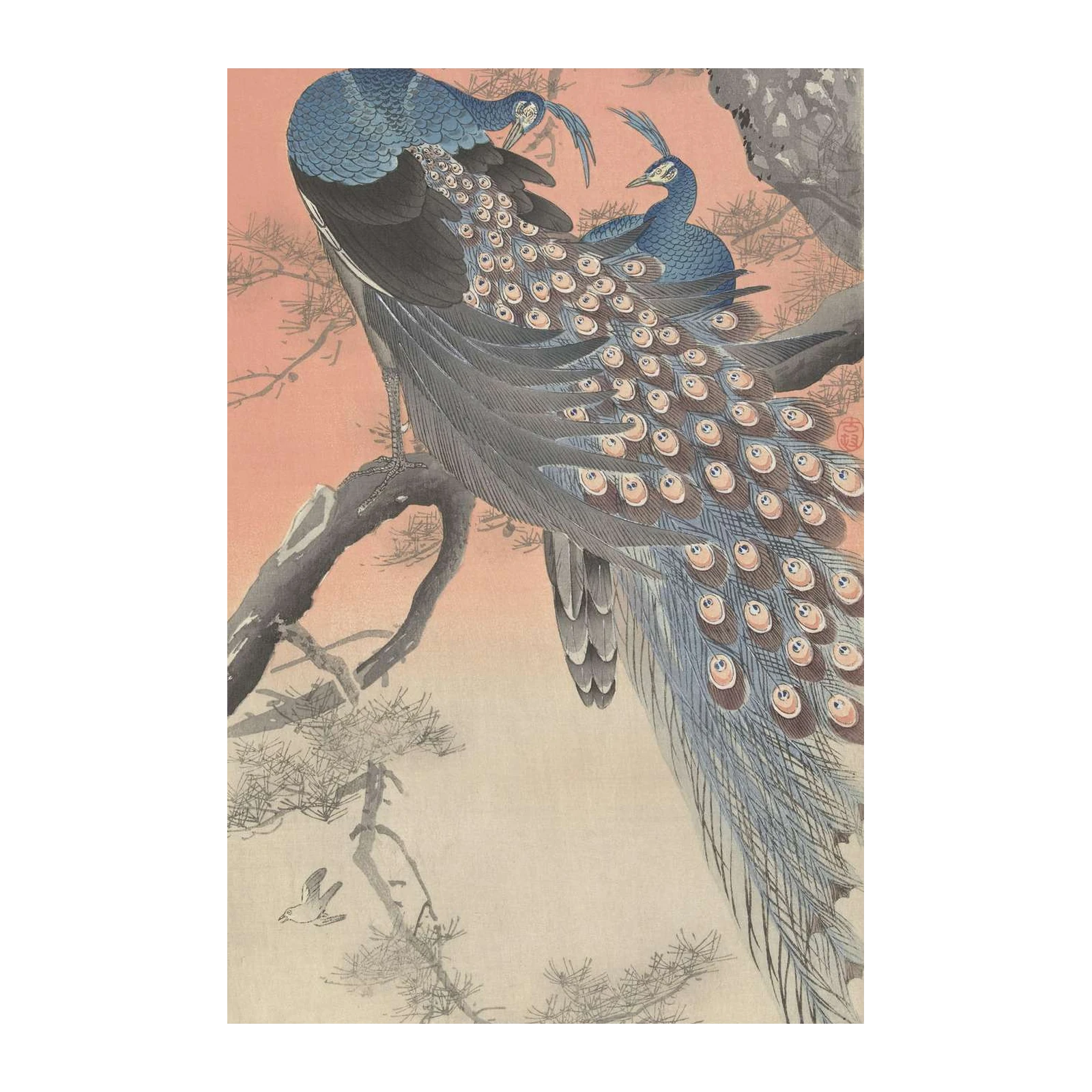 Elegant Peacocks on Pine Tree Wall Art