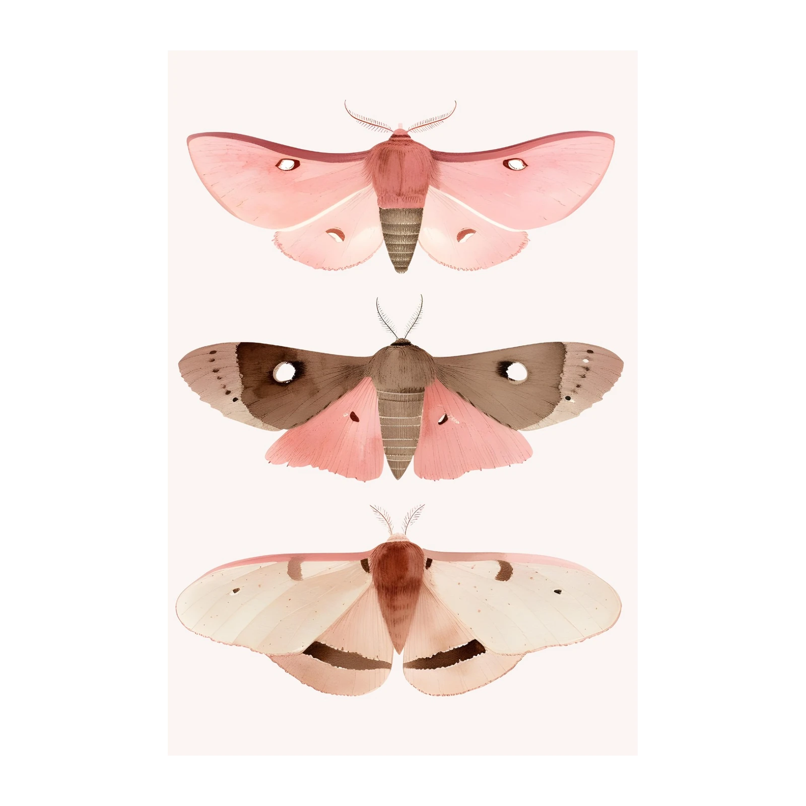 Elegant Pink Moths Botanical Wall Art