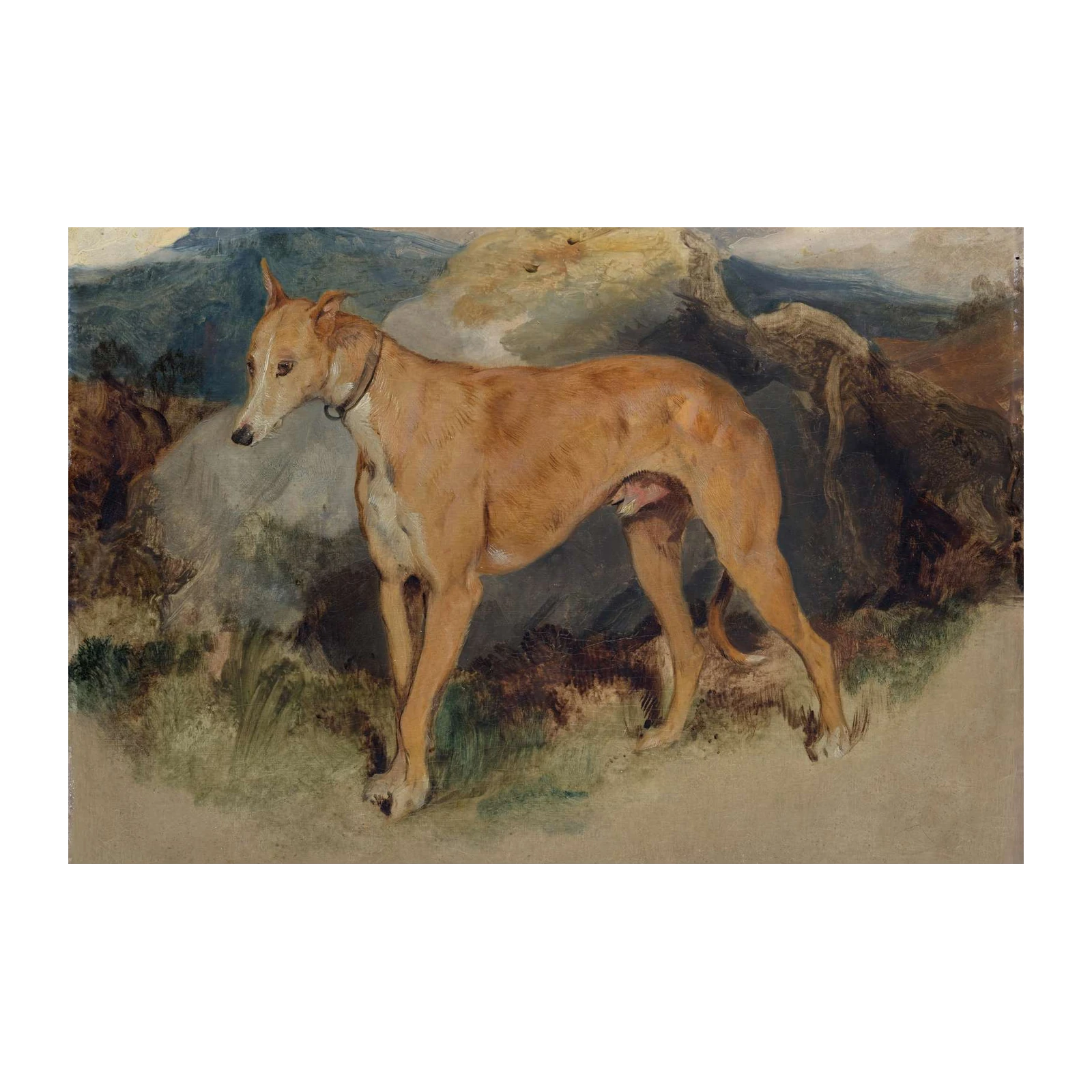 Elegant Greyhound Portrait Wall Art