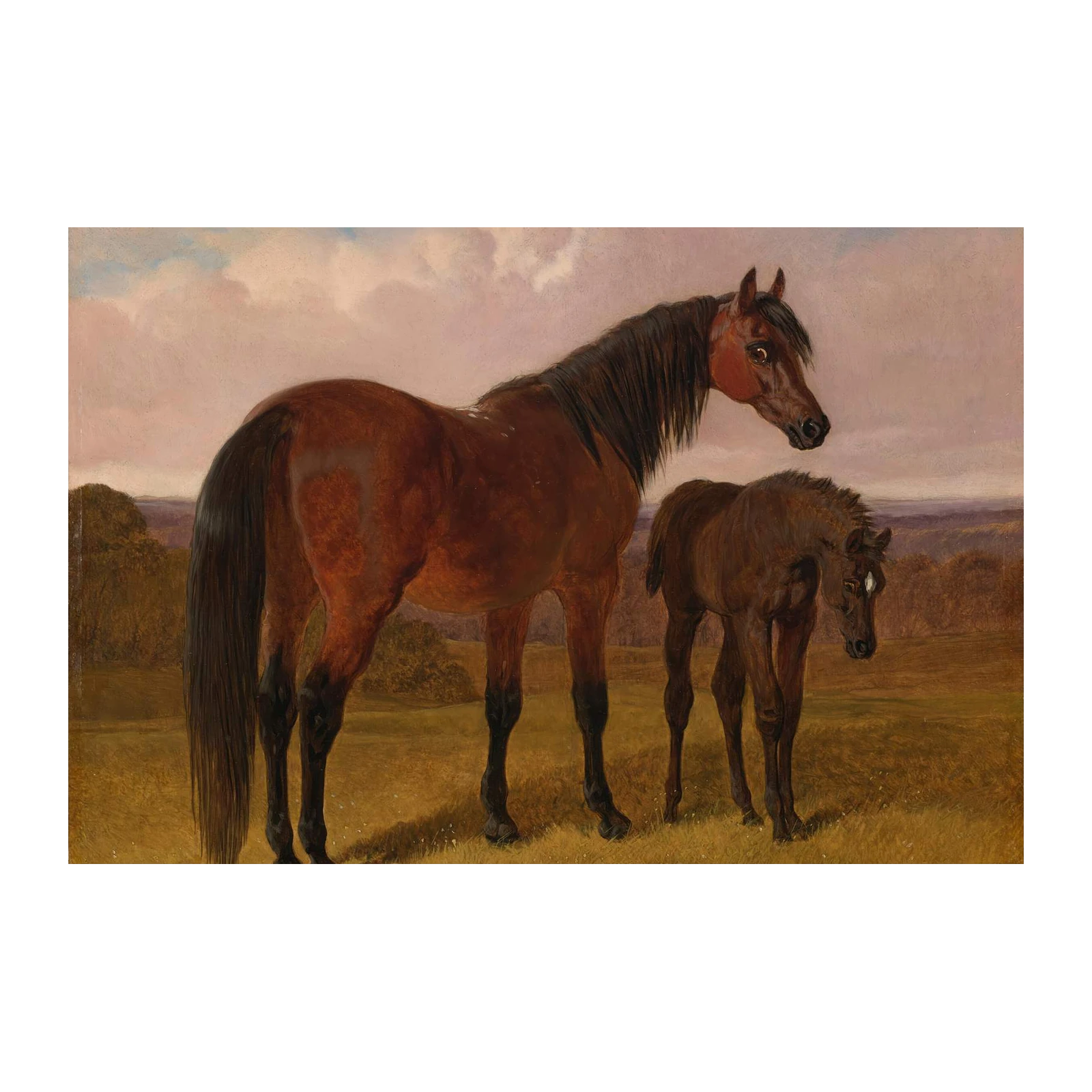 Majestic Horse & Foal Pastoral Wall Art