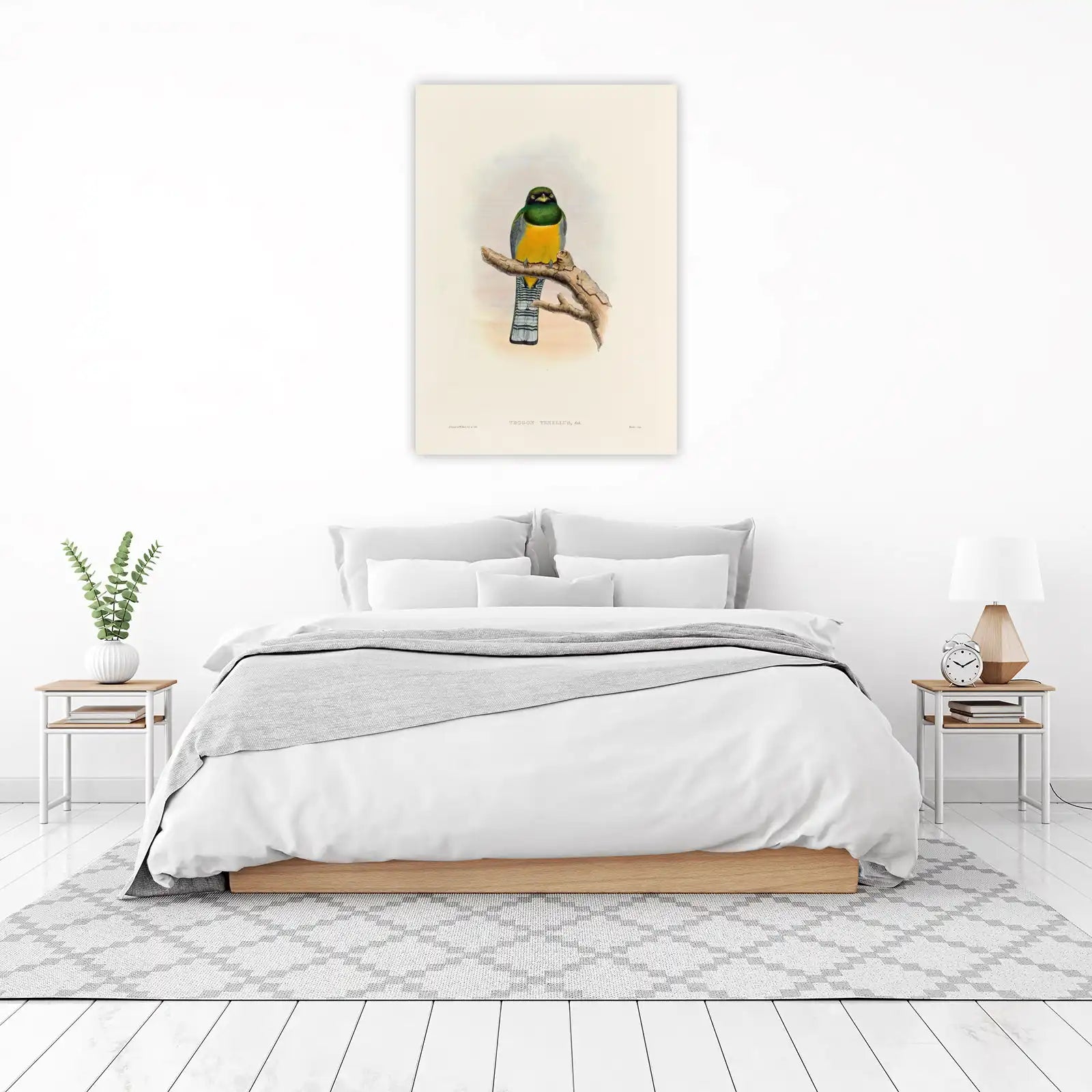 Vibrant Trogon Bird Art | Tropical Nature Wall Art