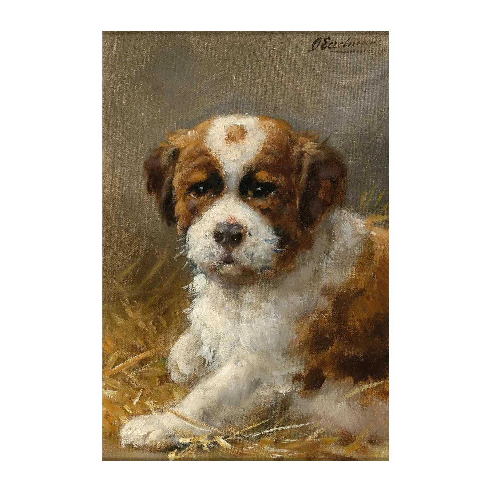 Adorable St. Bernard Puppy Oil Painting Wall Art