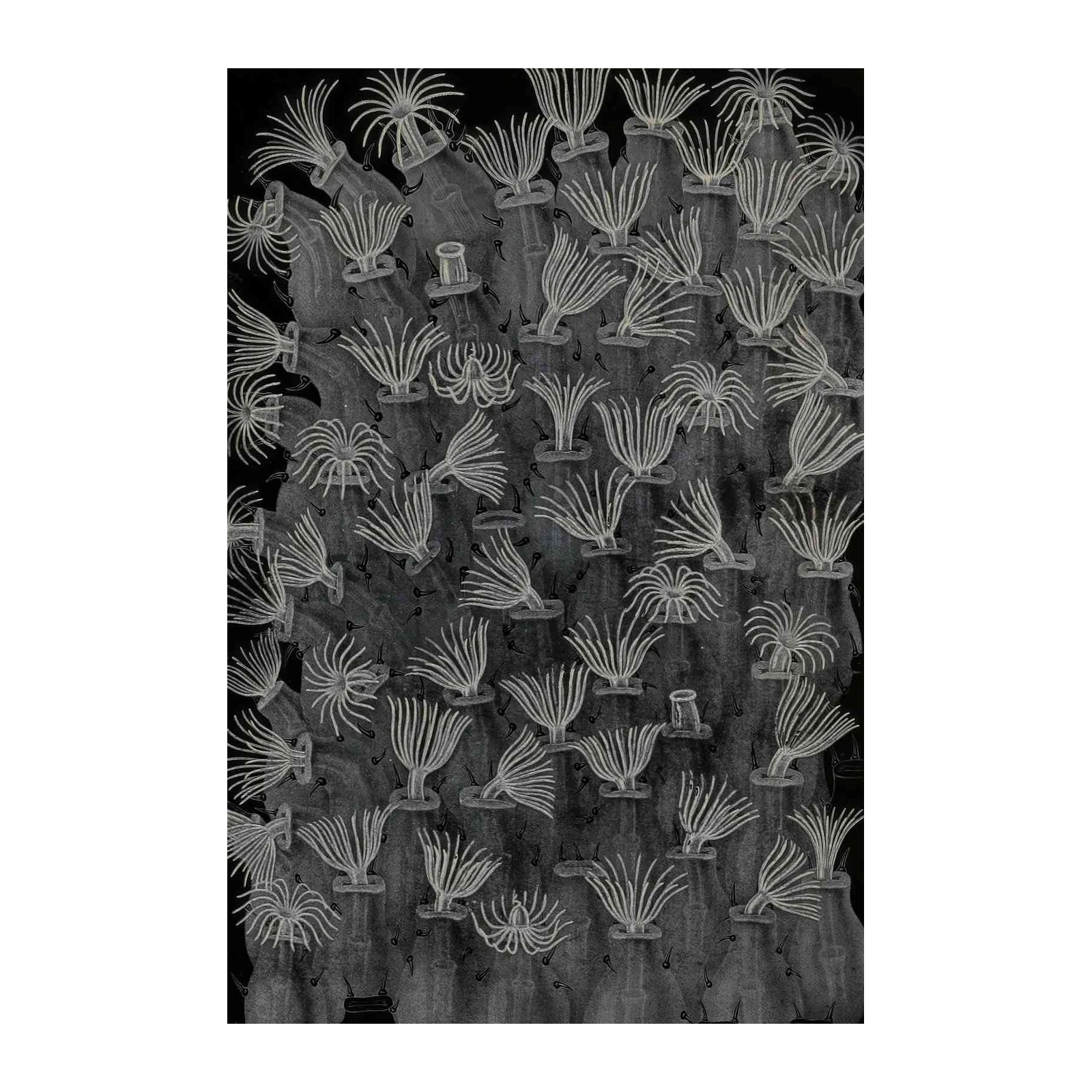 Ocean Anemone Cluster Wall Art