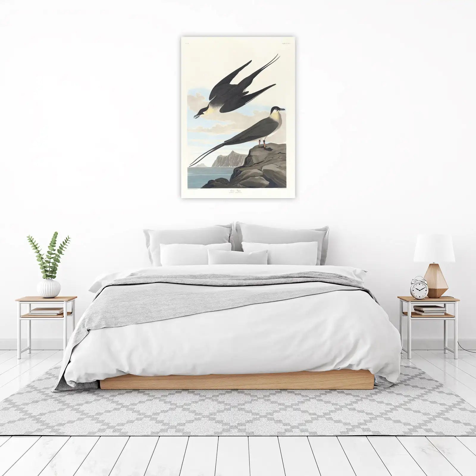 Arctic Jaeger Bird Art Wall Art