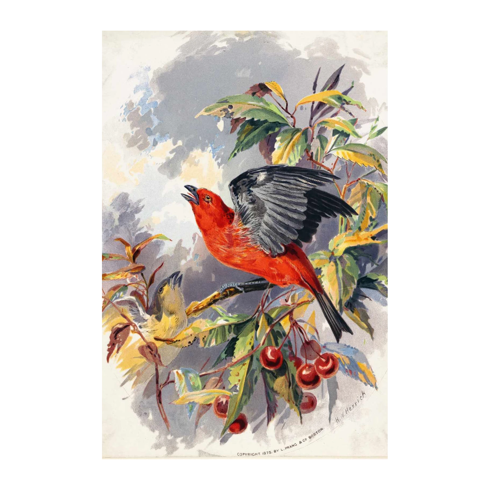Vibrant Scarlet Tanager Bird Art Wall Art