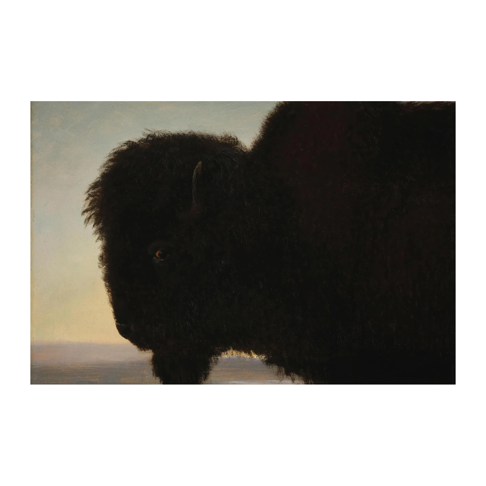 Majestic Bison Wildlife Nature Wall Art