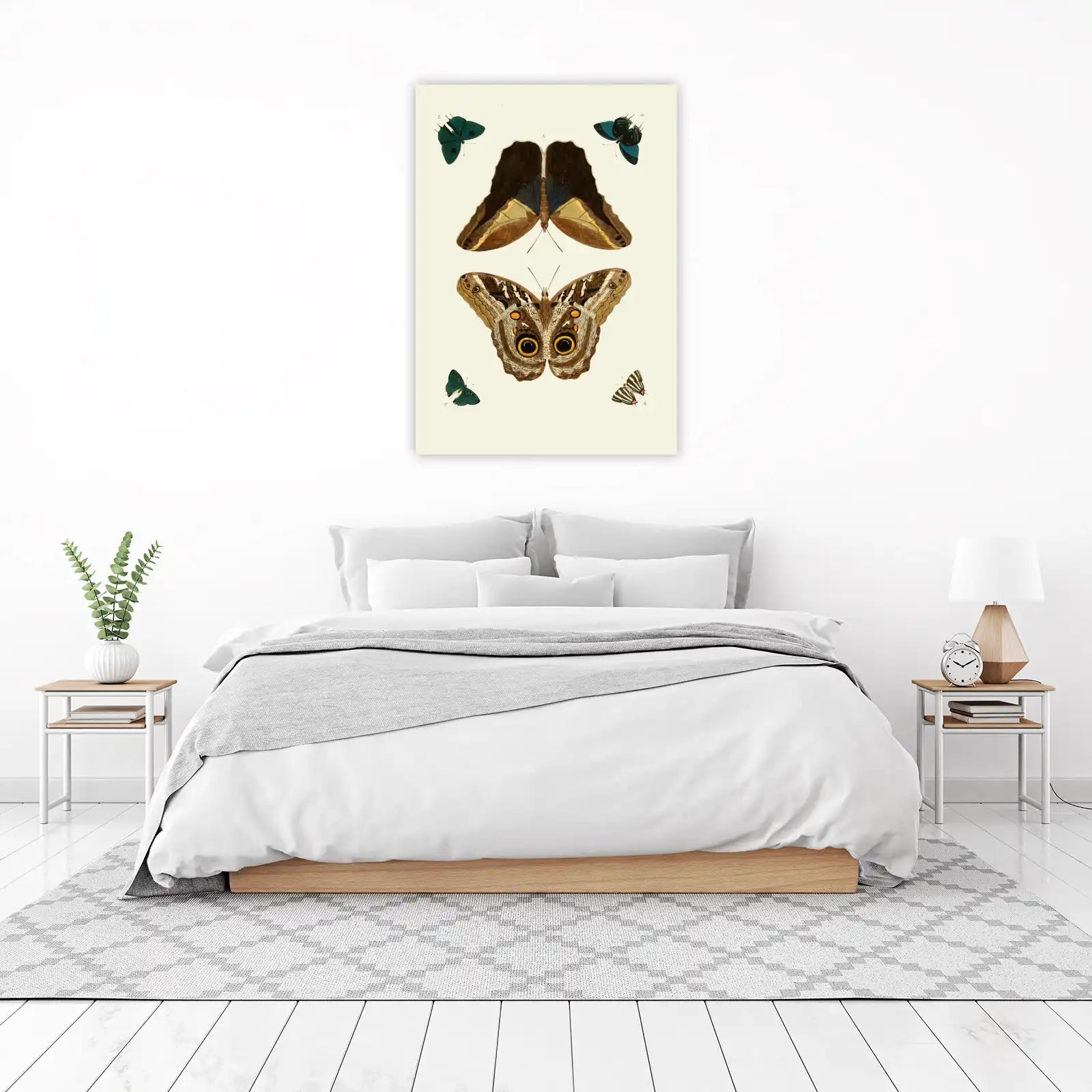 Vintage Butterfly Collection Wall Art
