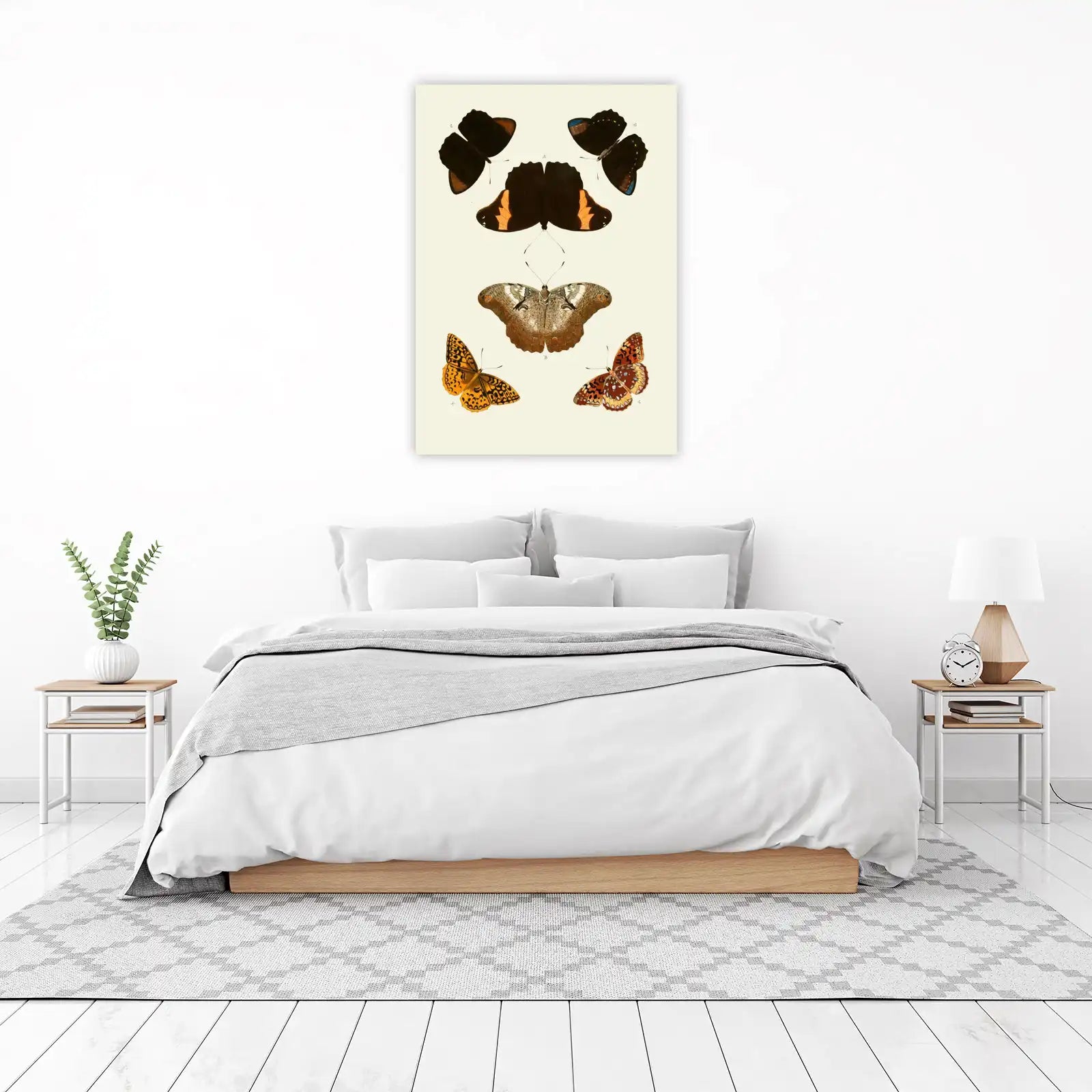 Vintage Butterfly Collection Wall Art