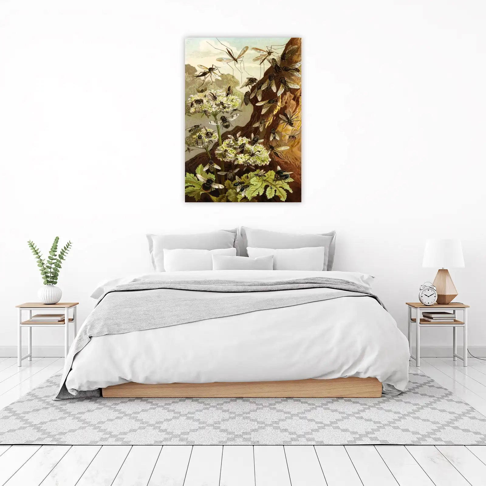 Vintage Insect Entomology Fly Bee Wall Art Wall Art