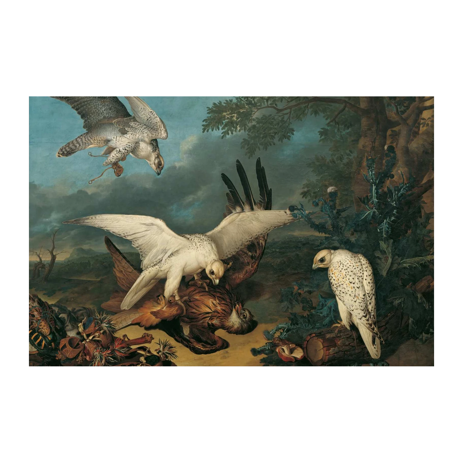 Majestic Falcon Hunt Wall Art | Wildlife Art