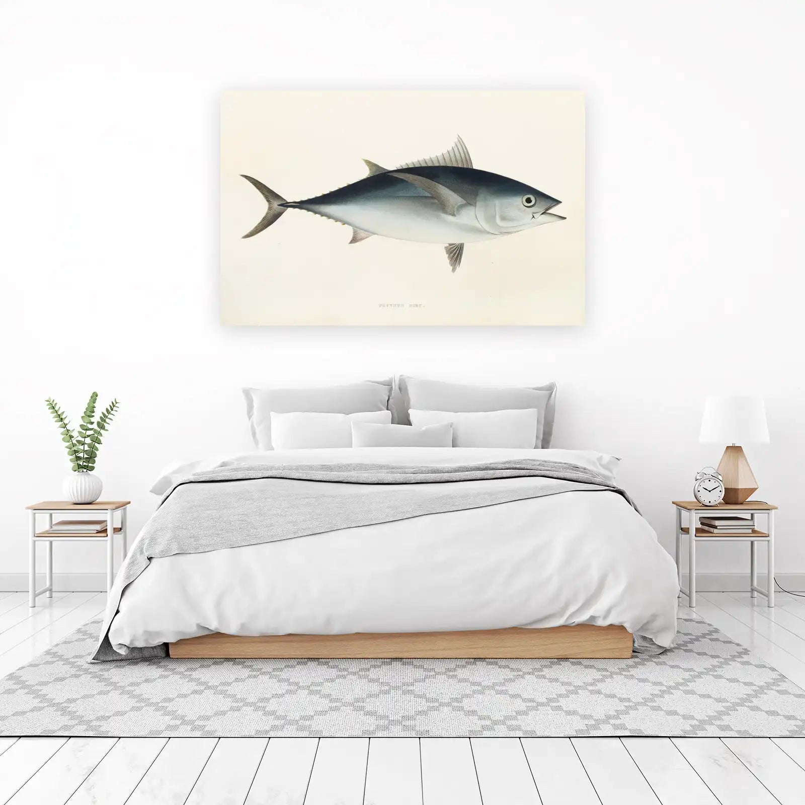 Vintage Tuna Fish Illustration Wall Art