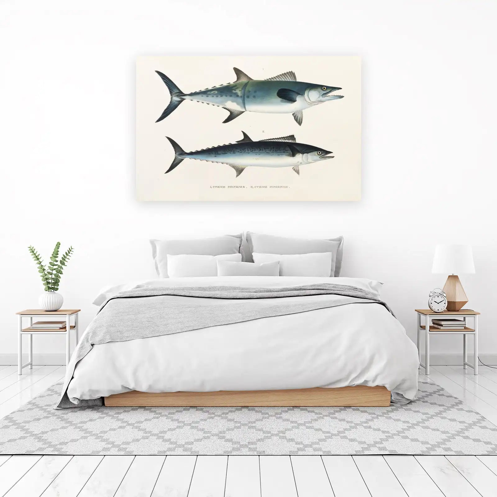 Vintage Mackerel Fish Art Wall Art