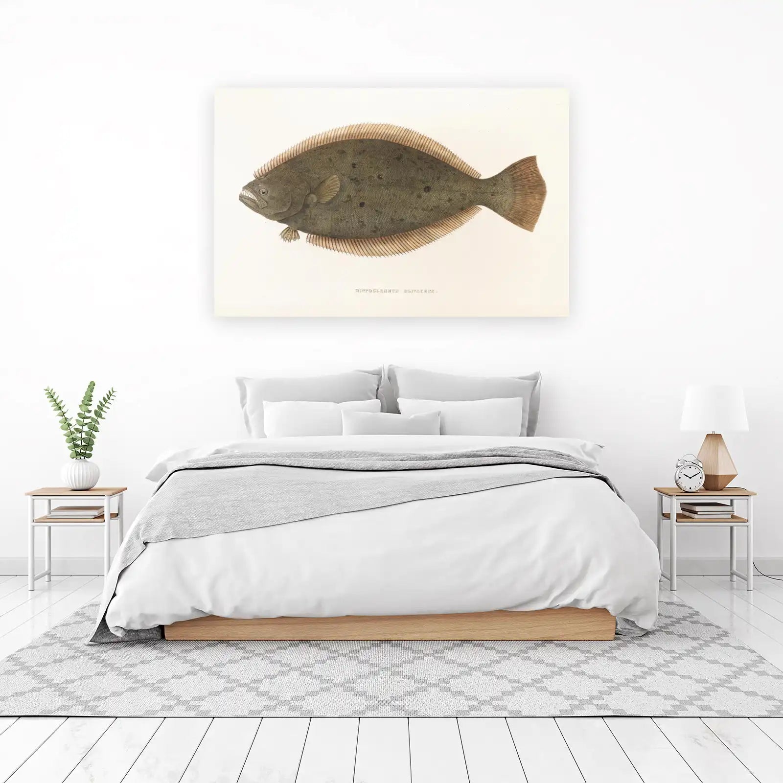 Vintage Halibut 'Hippoglossus Olivaceus' Wall Art
