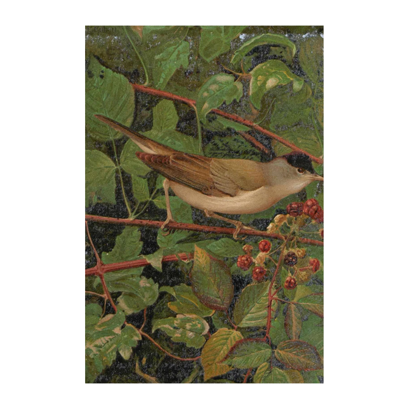 Nature's Songbird & Berries Wall Art