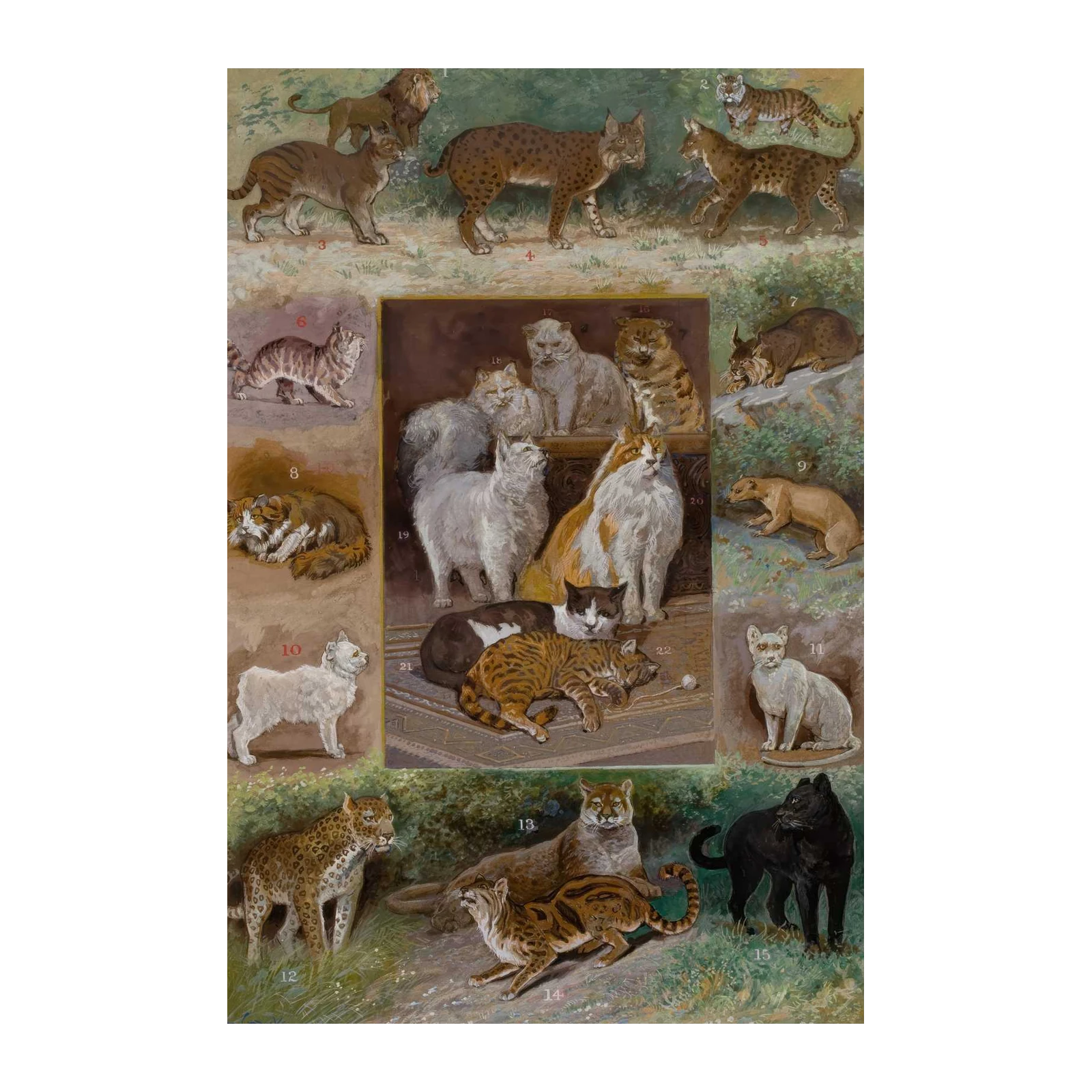 Feline Kingdom Collection Wall Art